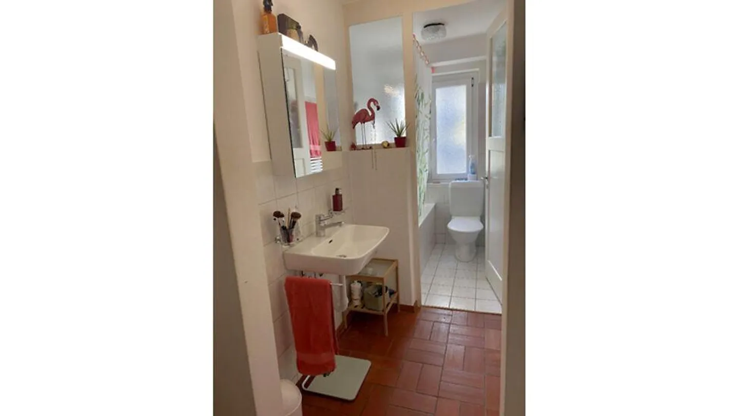 CONVIENT AUX AMOUREUX DES CHATS À ZURICH - DISTRICT 3 WIEDIKON, MEUBLÉ... - Photo 6 sur 8