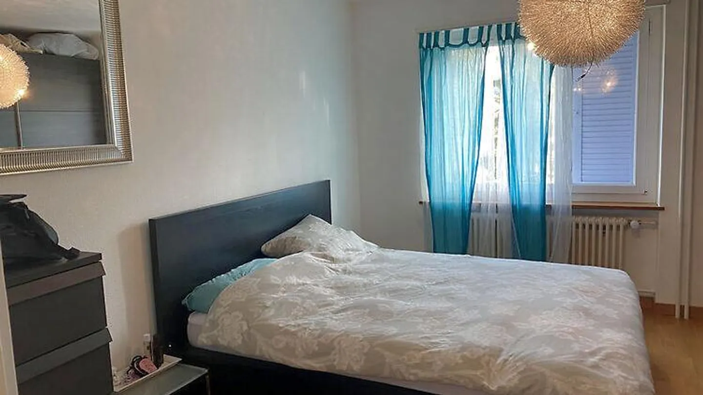 CONVIENT AUX AMOUREUX DES CHATS À ZURICH - DISTRICT 3 WIEDIKON, MEUBLÉ... - Photo 5 sur 8