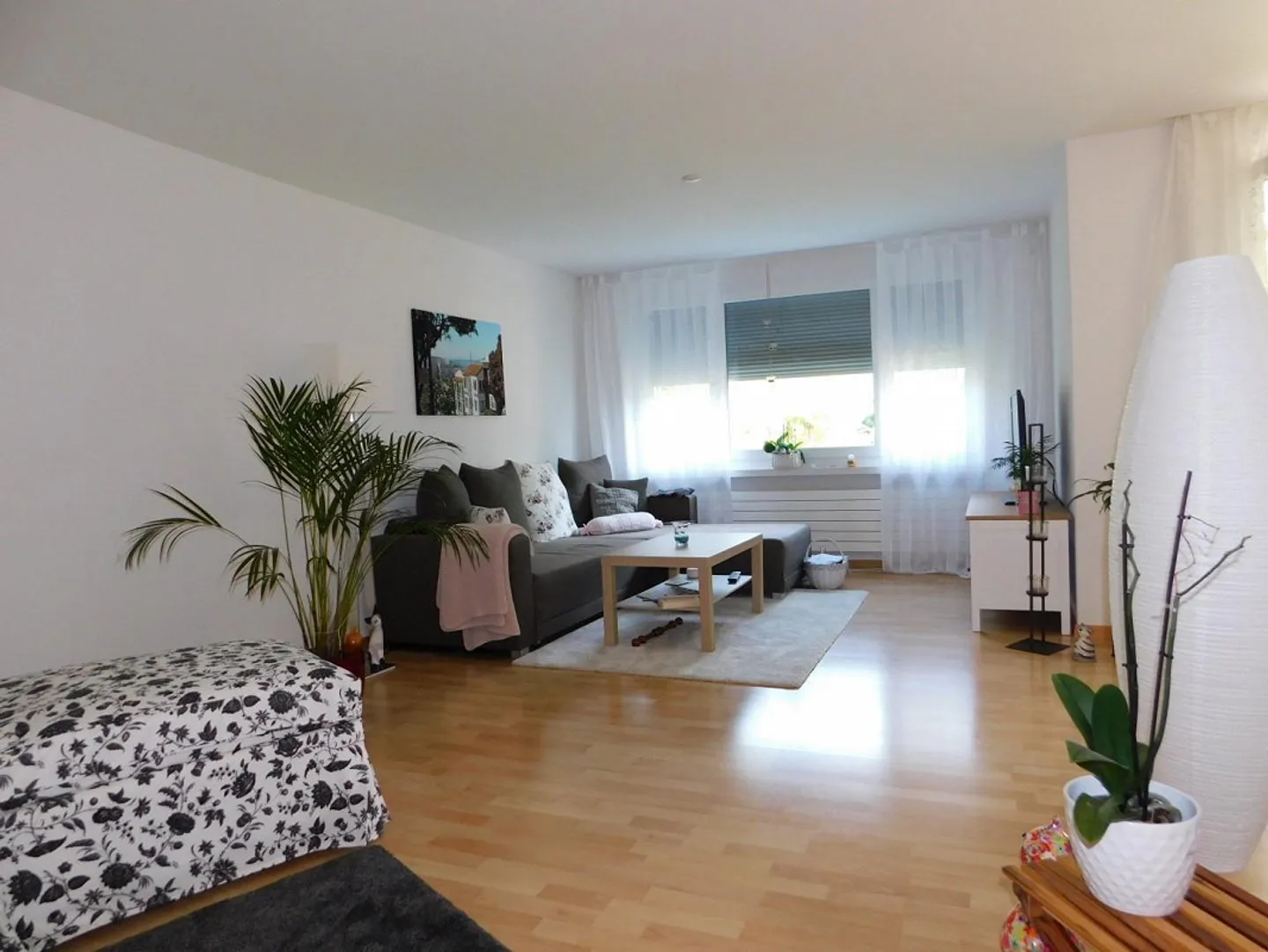 Ideale per te! Appartamento al piano terra di 2,5 locali con patio - Foto 3 di 8