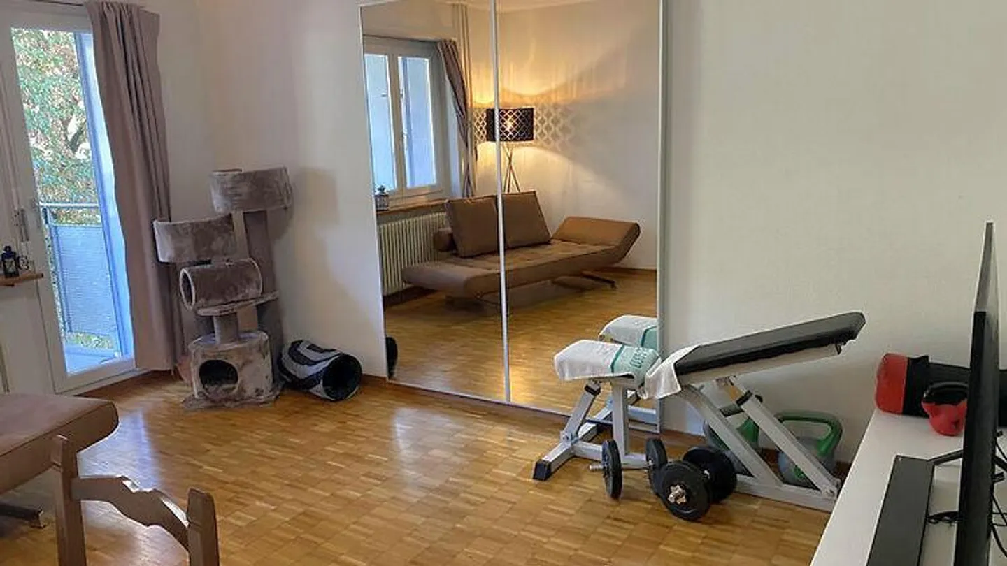 CONVIENT AUX AMOUREUX DES CHATS À ZURICH - DISTRICT 3 WIEDIKON, MEUBLÉ... - Photo 3 sur 8