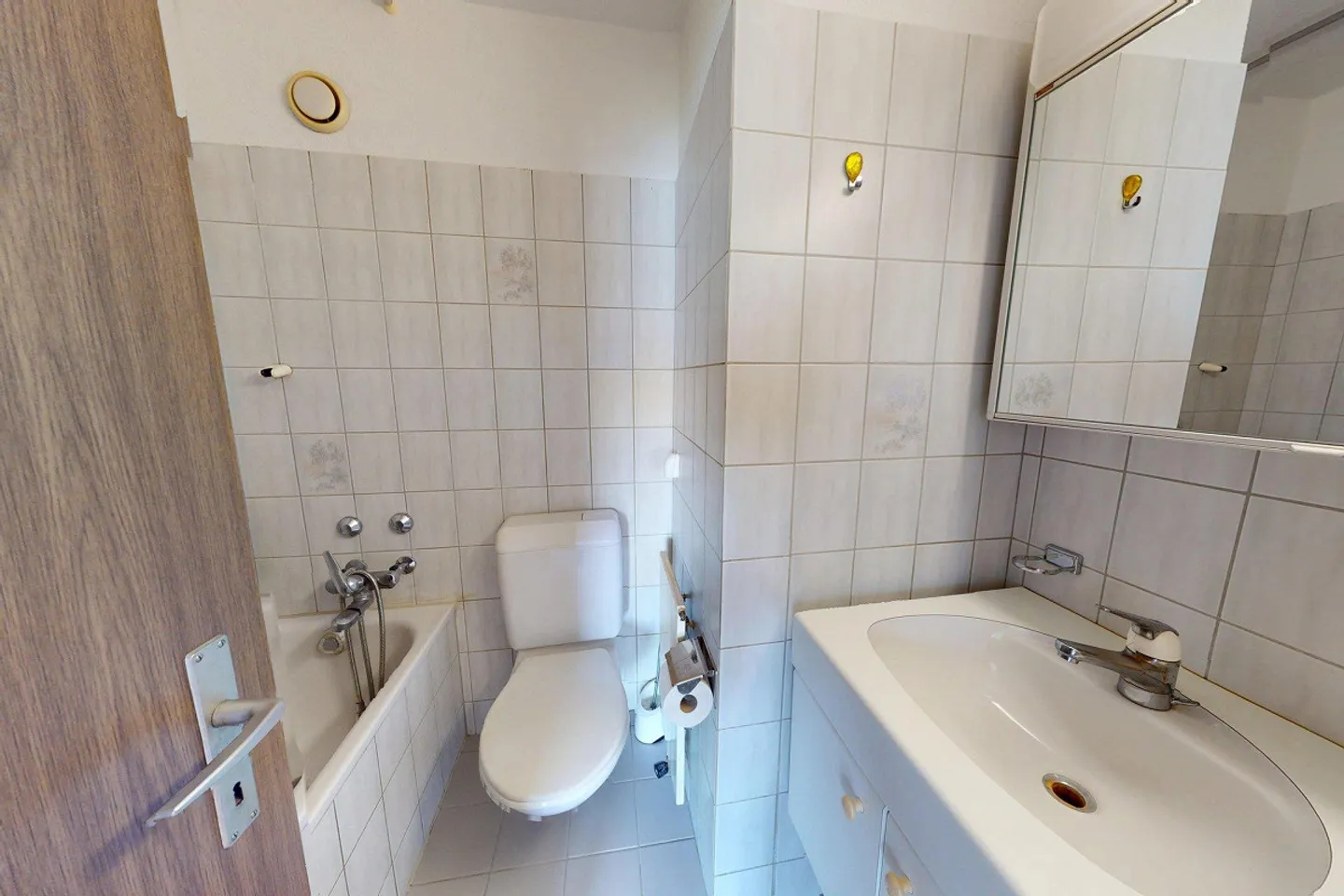 Ampio appartamento 5.5 locali - Foto 10 di 11