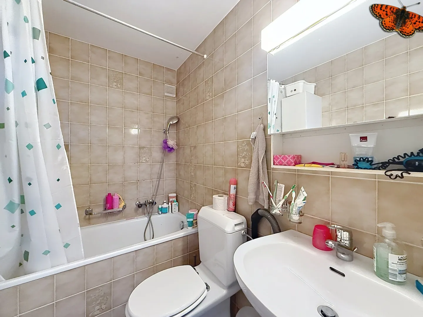 4 ROOMS - Bright and quiet! - Photo 9 of 13