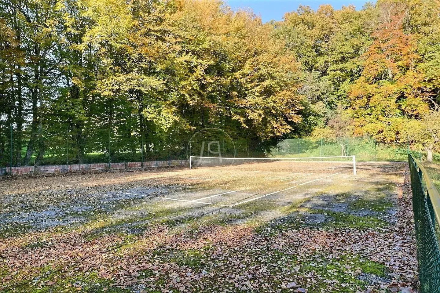 Bella proprietà familiare con vista sul lago e tennis, vicino a Morges - Foto 13 di 13