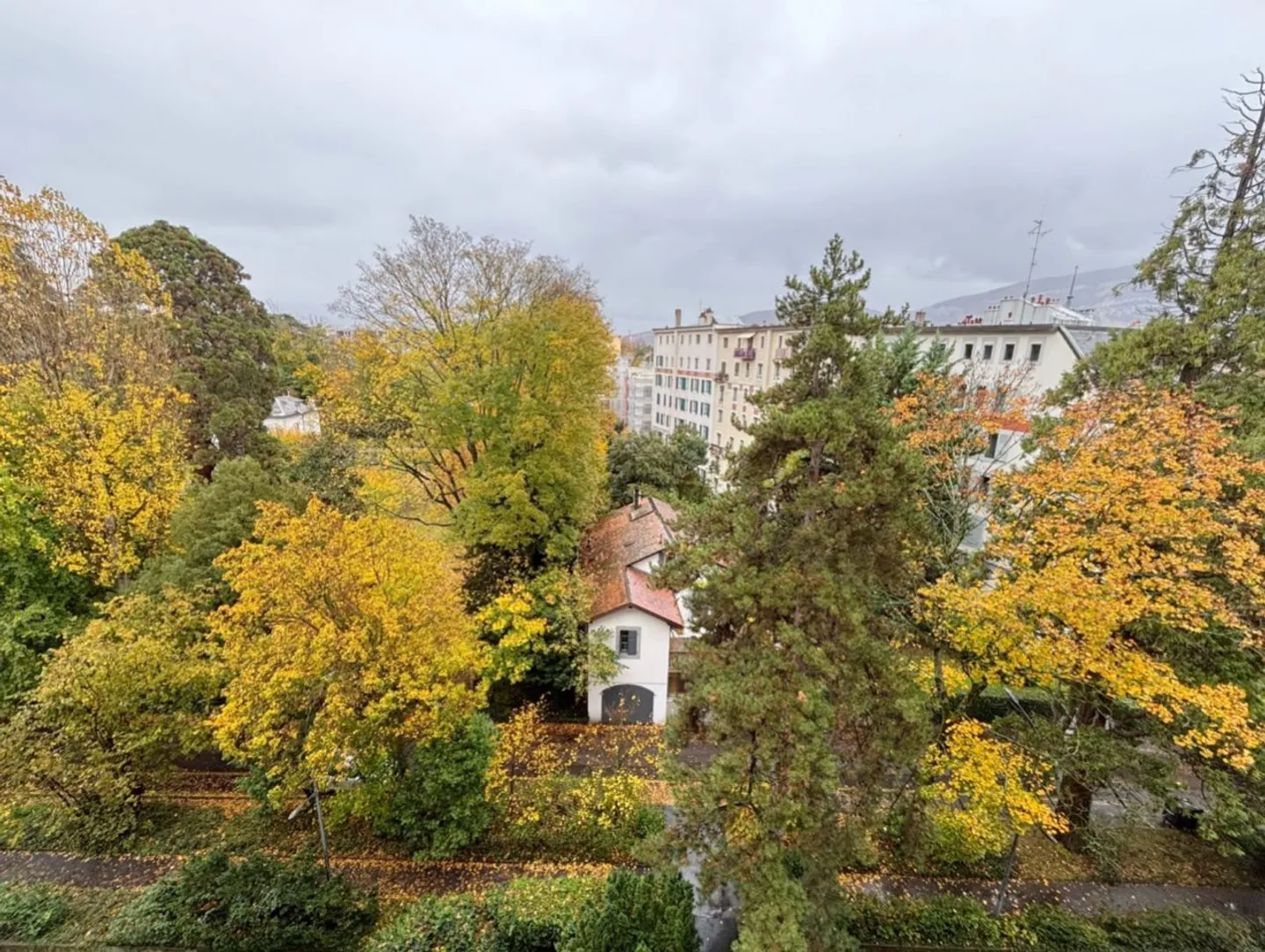 Beautiful furnished 3.5-room apartment in Eaux-Vives - Photo 9 of 11