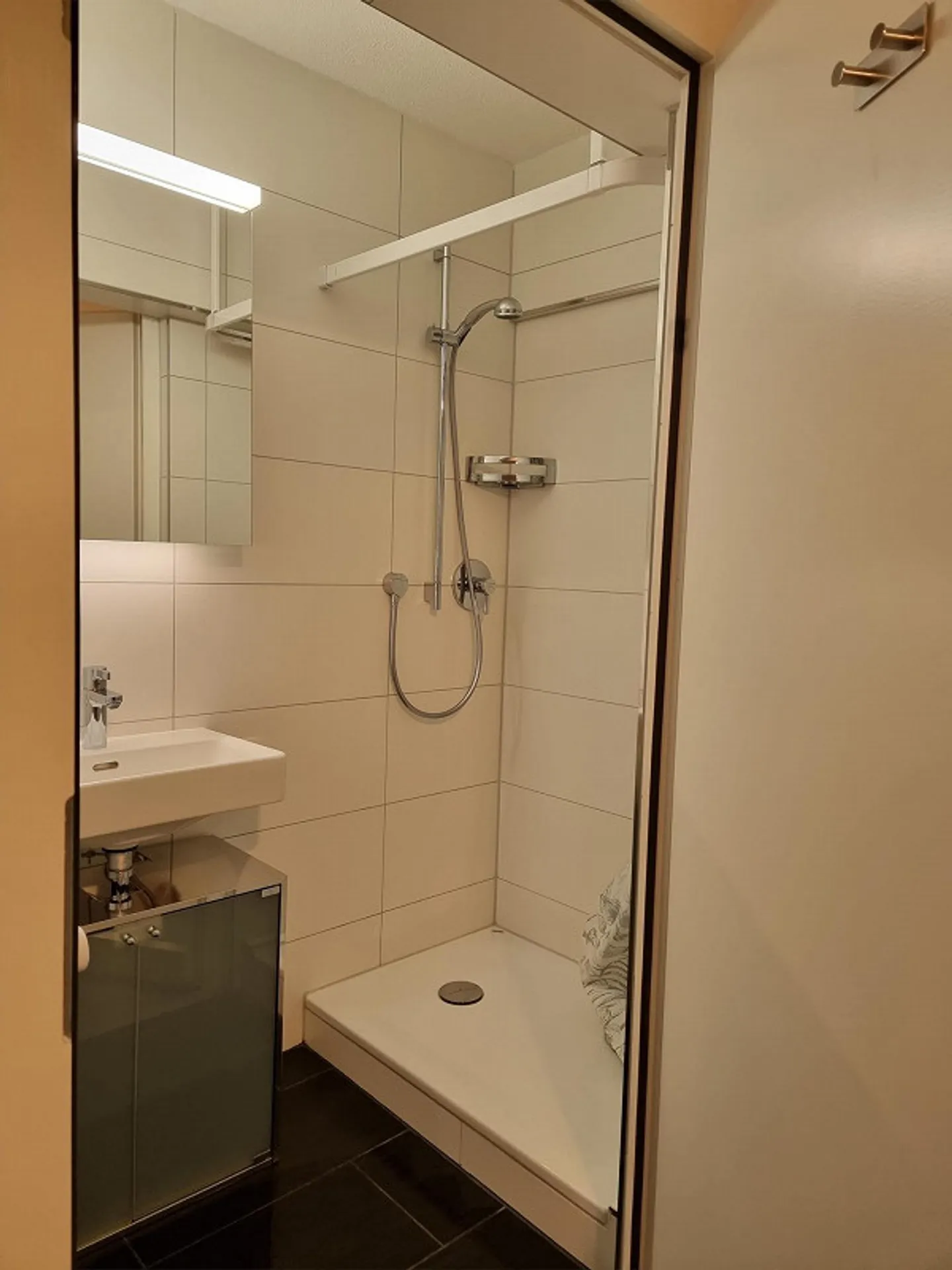 Furnished studio with private garden in Wallisellen for rent - Photo 6 of 6