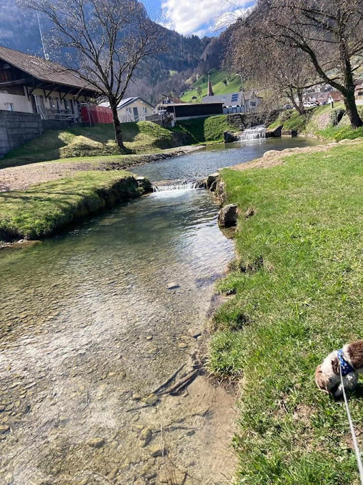 Casa di 4,5 stanze in affitto - Foto 12 di 12