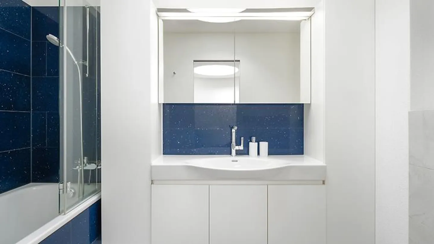 3½ ZI APARTMENT IN ADLIGENSWIL (LU), FURNISHED, TEMPORARY - Photo 6 of 10