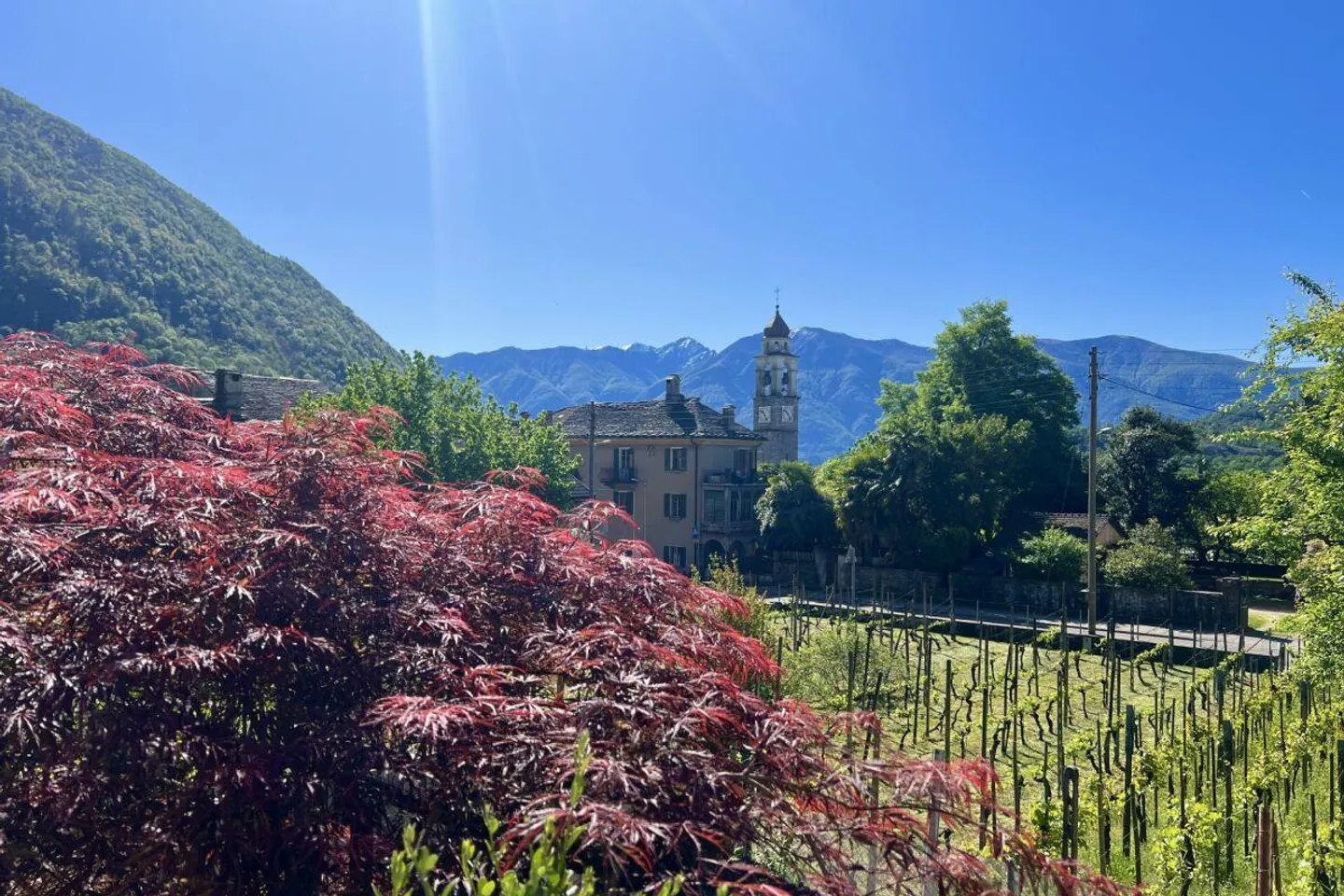 Appartamento in affitto - Foto 23 di 30