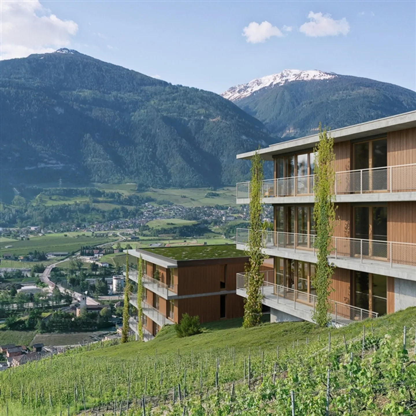 Terreno B13 - nuovo 2,5 locali con vista mozzafiato - Foto 2 di 7