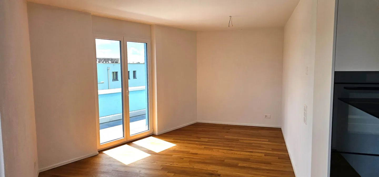 PETIT. FIN. ALPES À VOTRE PORTE. - APPARTEMENT EN ATTIQUE AVEC TERRASSE PANORAMIQUE À COUPER LE SOUFFLE - Photo 6 sur 12