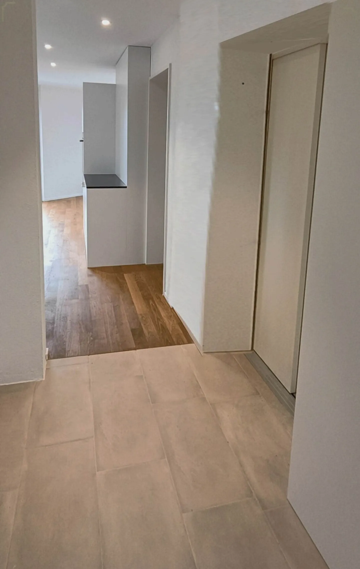 PETIT. FIN. ALPES À VOTRE PORTE. - APPARTEMENT EN ATTIQUE AVEC TERRASSE PANORAMIQUE À COUPER LE SOUFFLE - Photo 7 sur 12