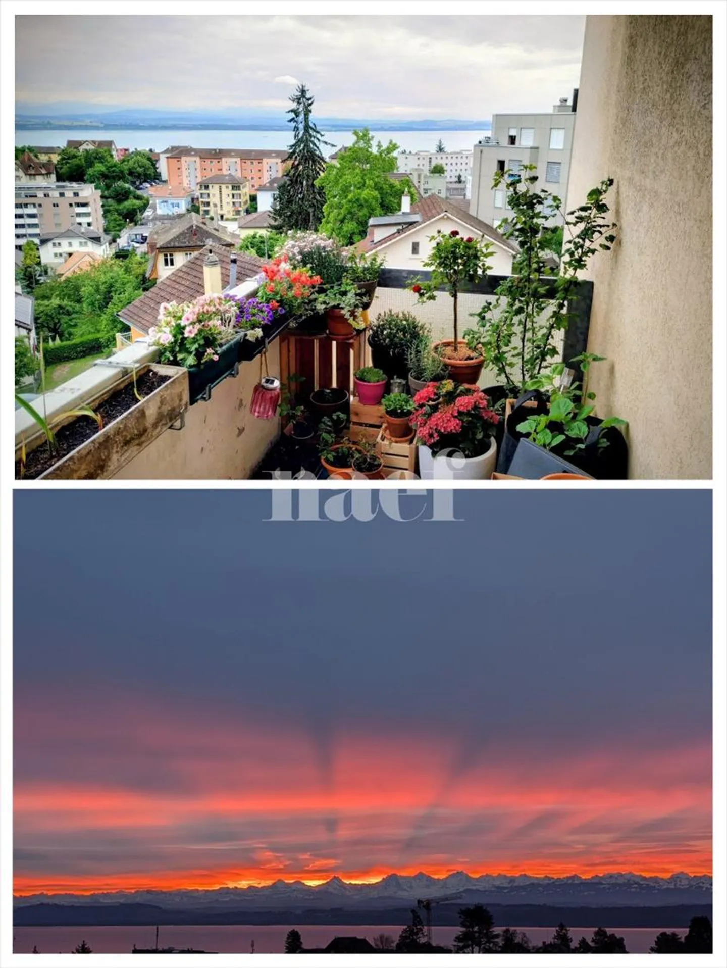 Bell'appartamento di 3,5 stanze - Foto 2 di 7