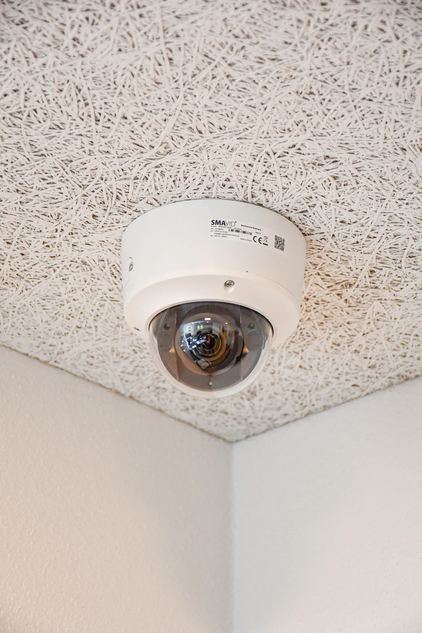 Espaces de stockage, bureaux, ateliers et loisirs à Winterthur - Photo 7 sur 9