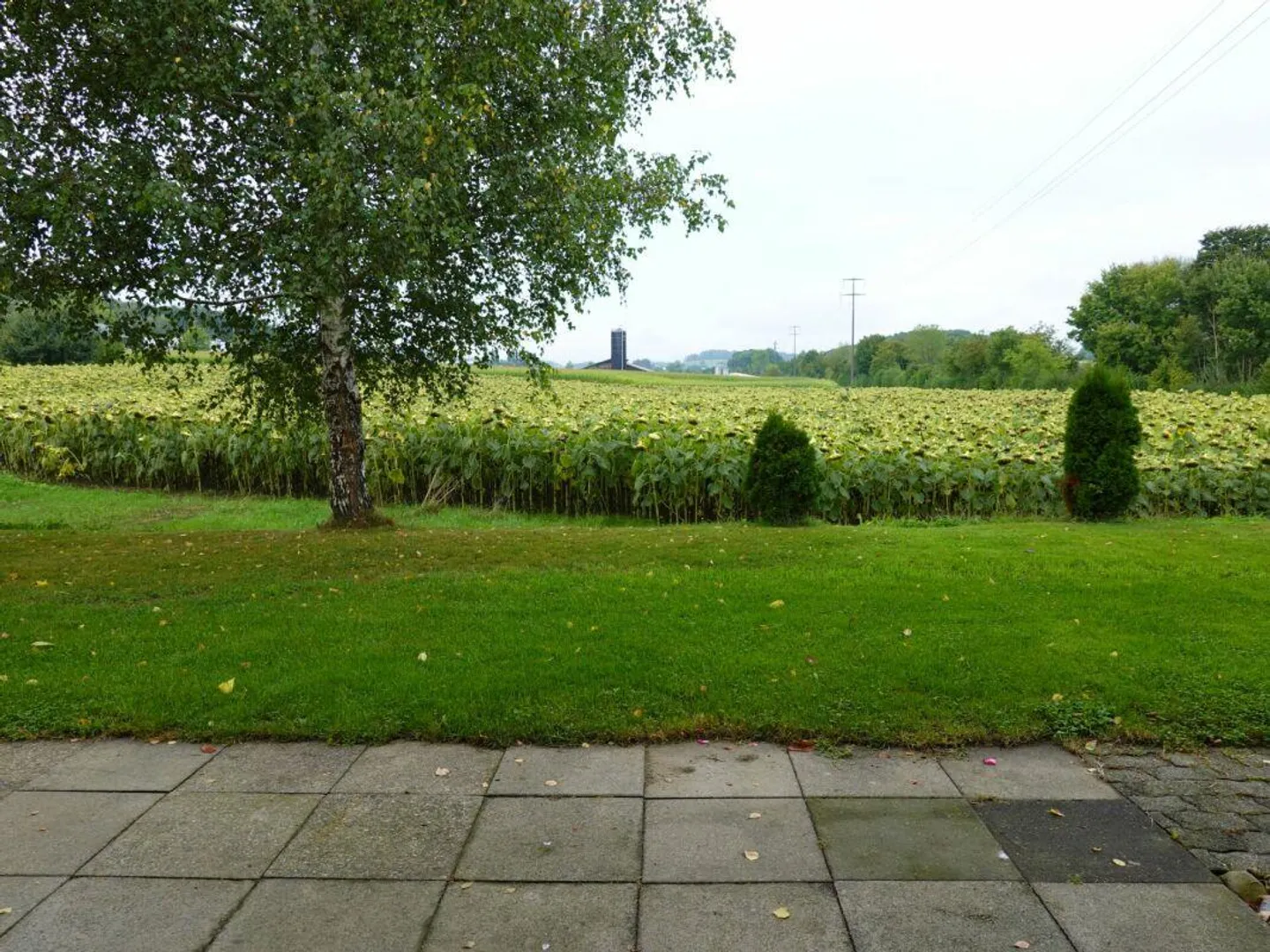 4.5-Zimmer-Gartenwohnung am Stadtrand von Frauenfeld - Foto 6 von 8