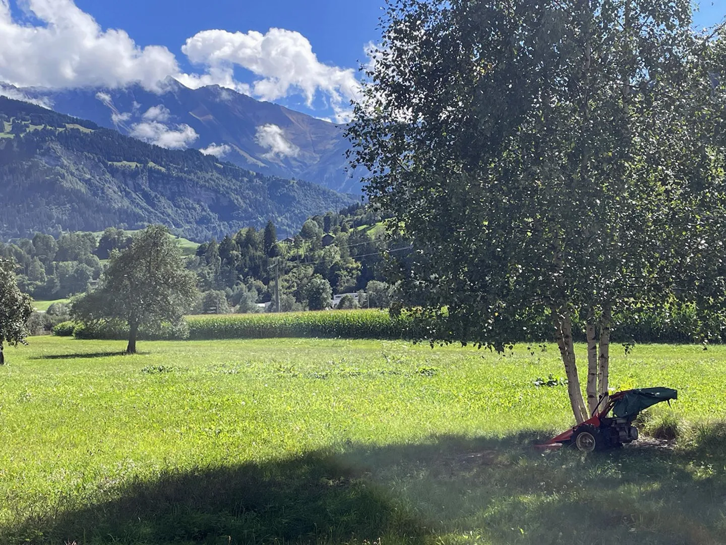 Sonnige, ruhig gelegene 5.5-Zimmer-Attikawohnung von Privat - Foto 13 von 18