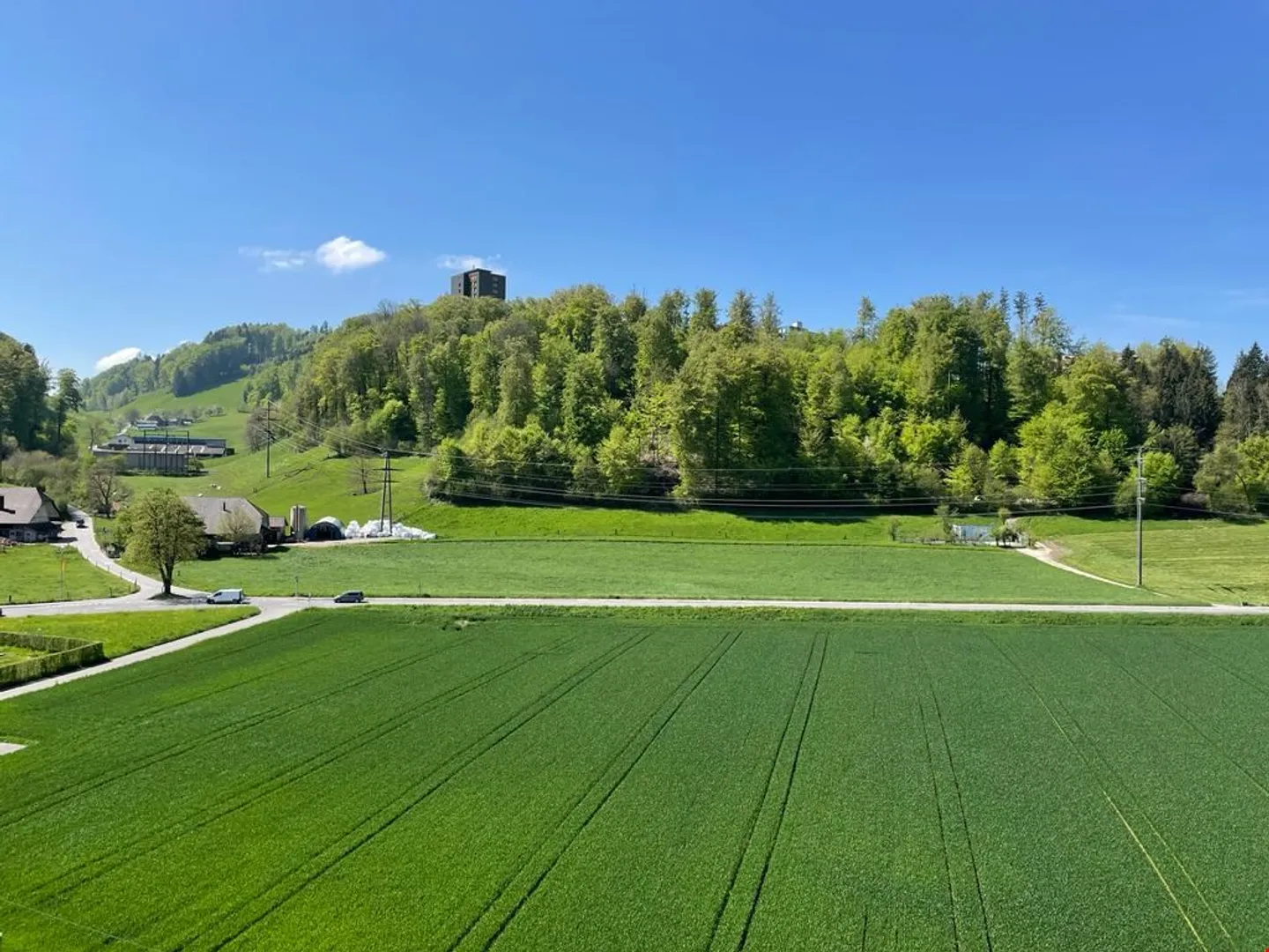 Commercial and Office Space up to 740m2 (Shell Construction II) - Photo 8 of 14