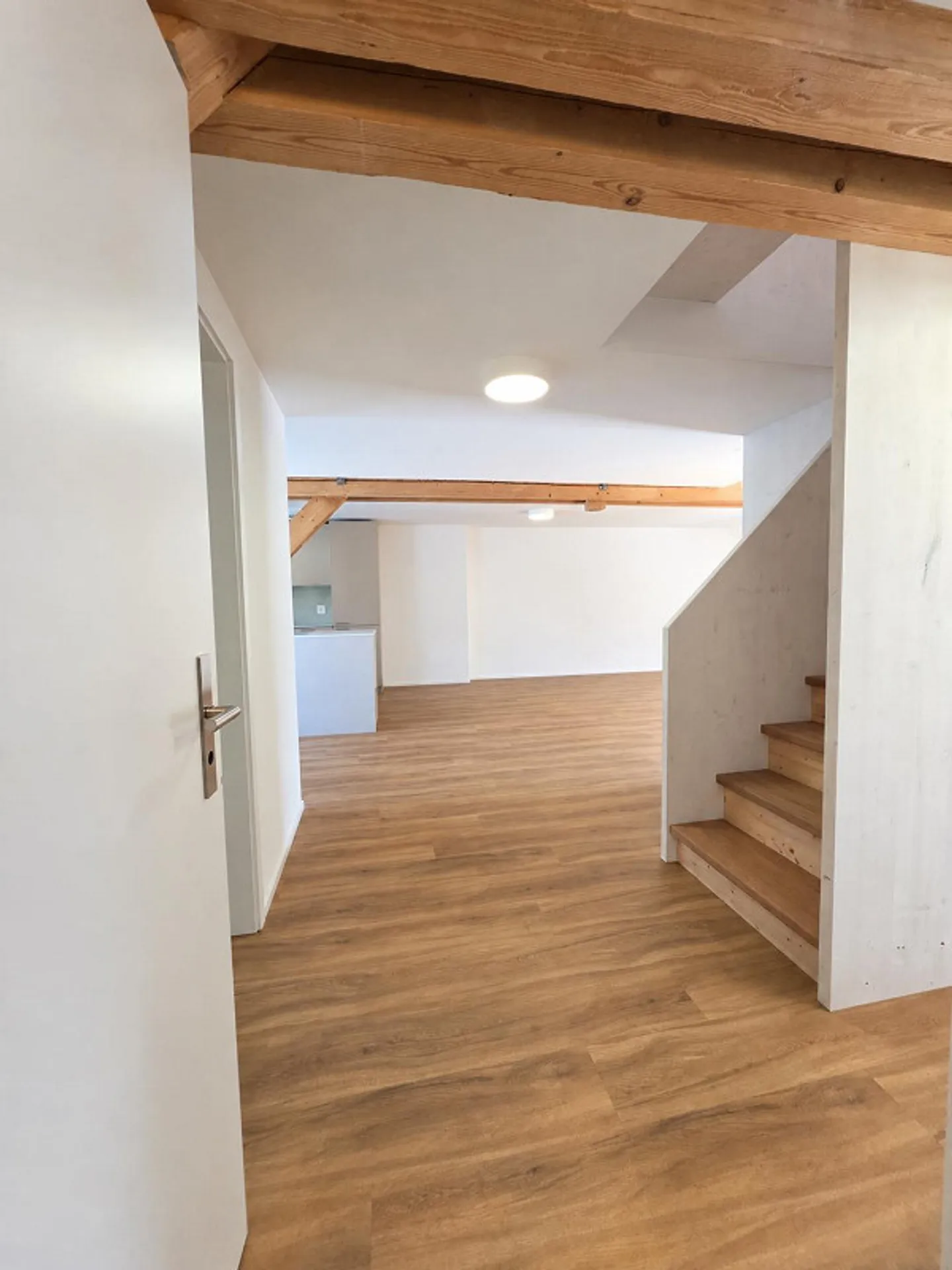 Completely renovated penthouse apartment with gallery, balcony, and direct lift - Photo 2 of 15