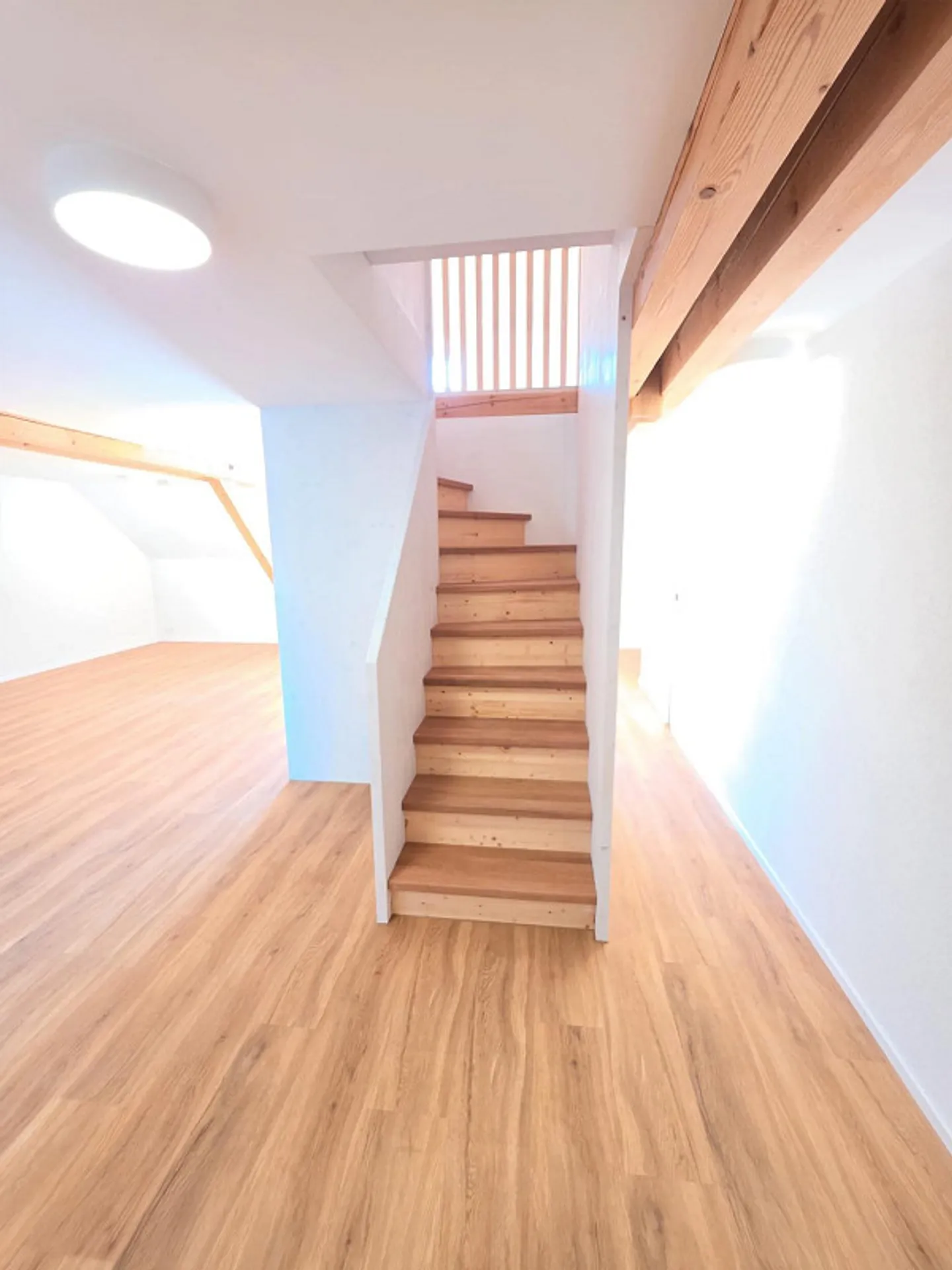 Completely renovated penthouse apartment with gallery, balcony, and direct lift - Photo 8 of 15