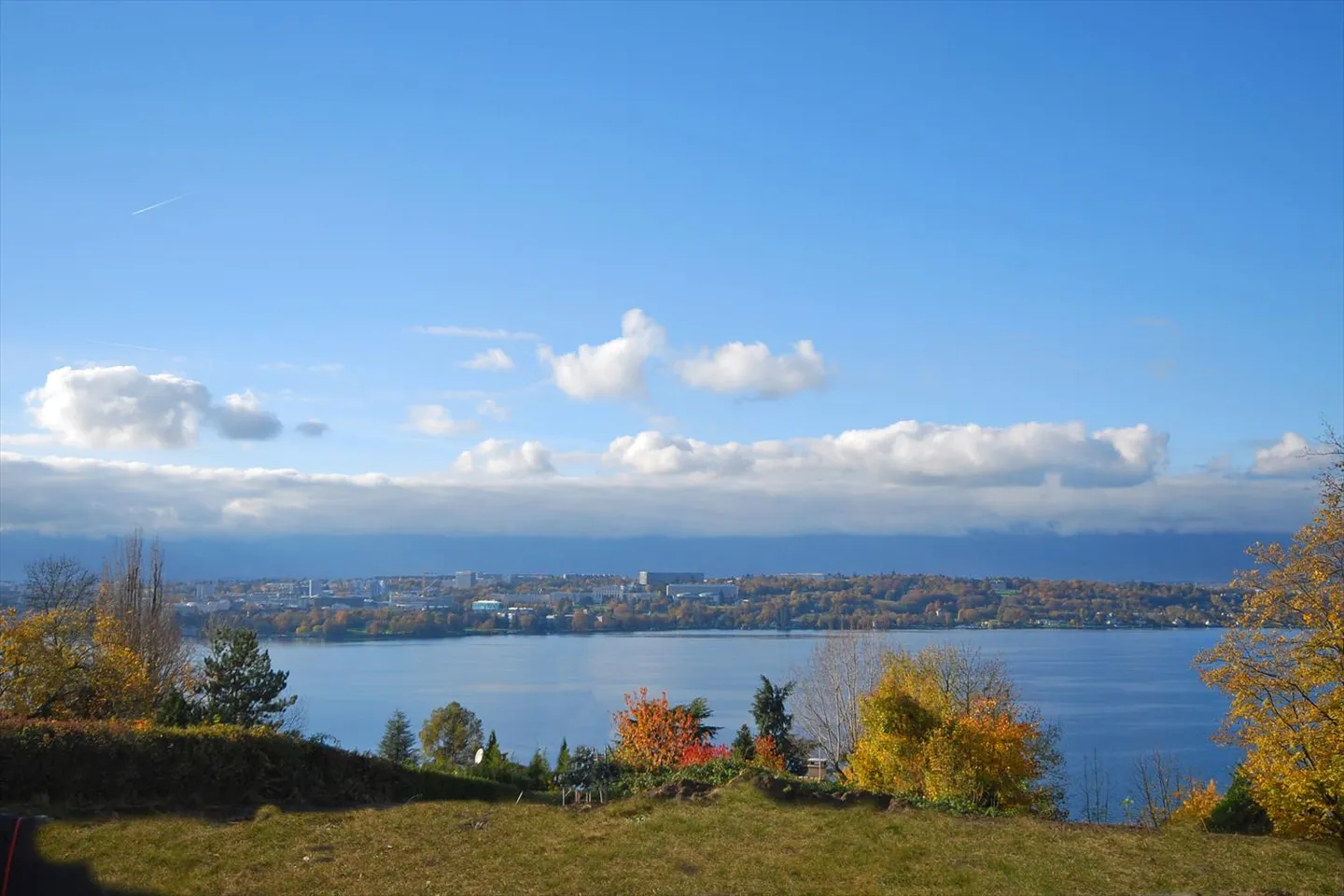 COLOGNY - Magnifique terrain avec vue panoramique sur le lac - Photo 1 sur 1