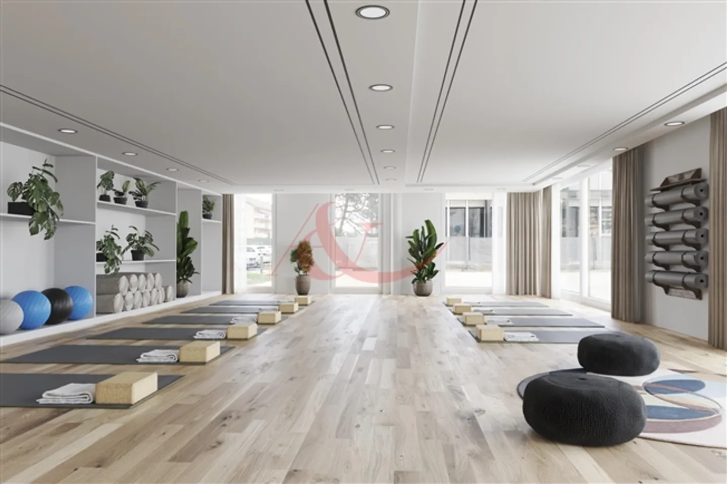 Extraordinary Business Opportunity in Ecublens - Photo 4 of 6