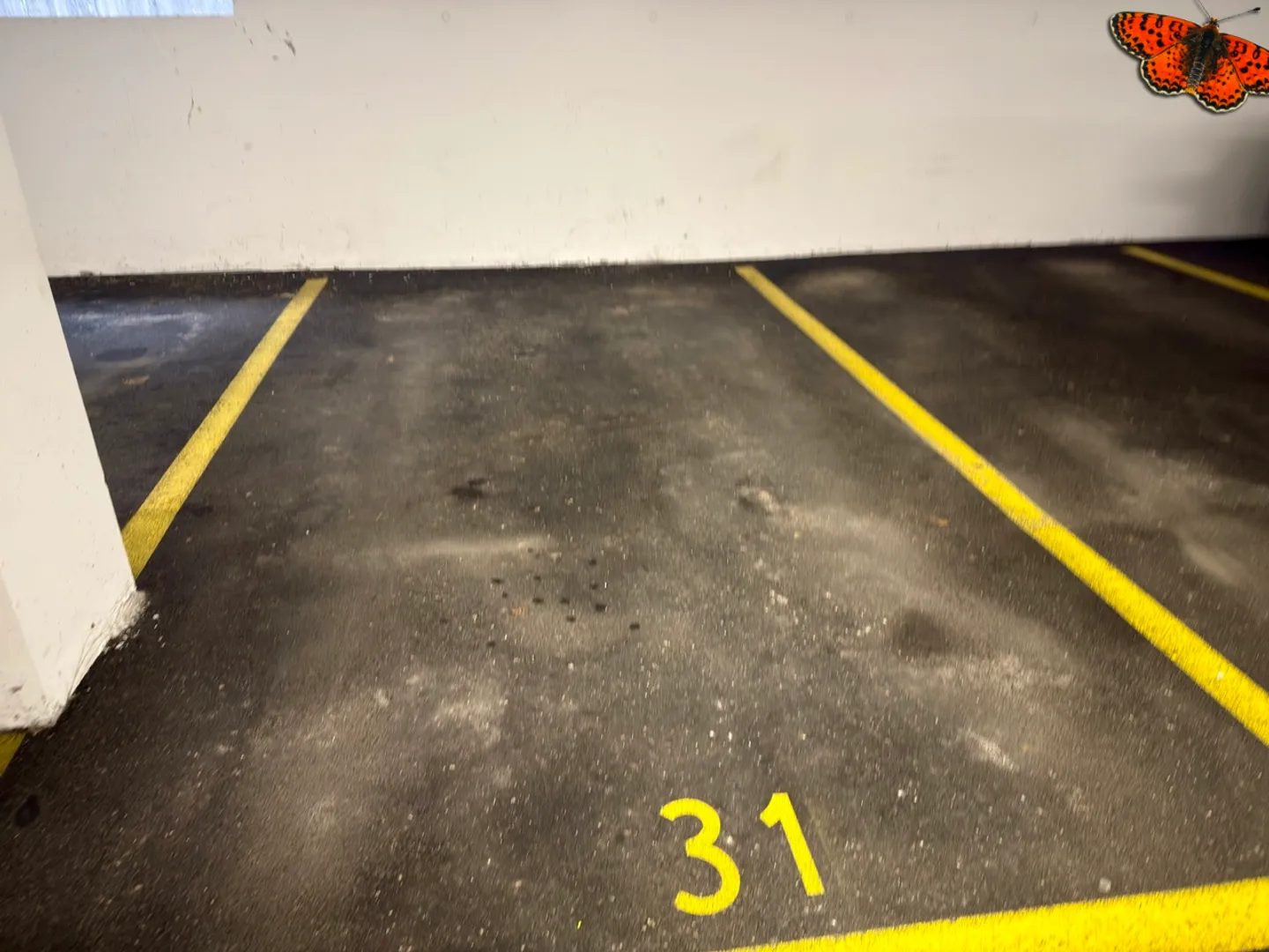 CHARMANTE 3 ½ ZIMMER - Im Herzen von Tour-de-Trême! - Foto 16 von 16