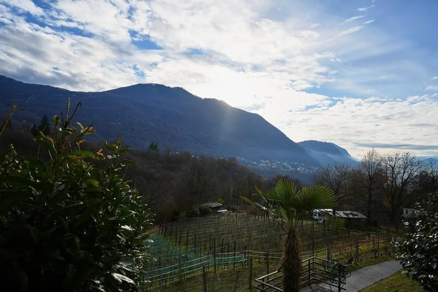 Appartement de 2 1/2 pièces dans un emplacement très calme et ensoleillé avec piscine - Photo 11 sur 24