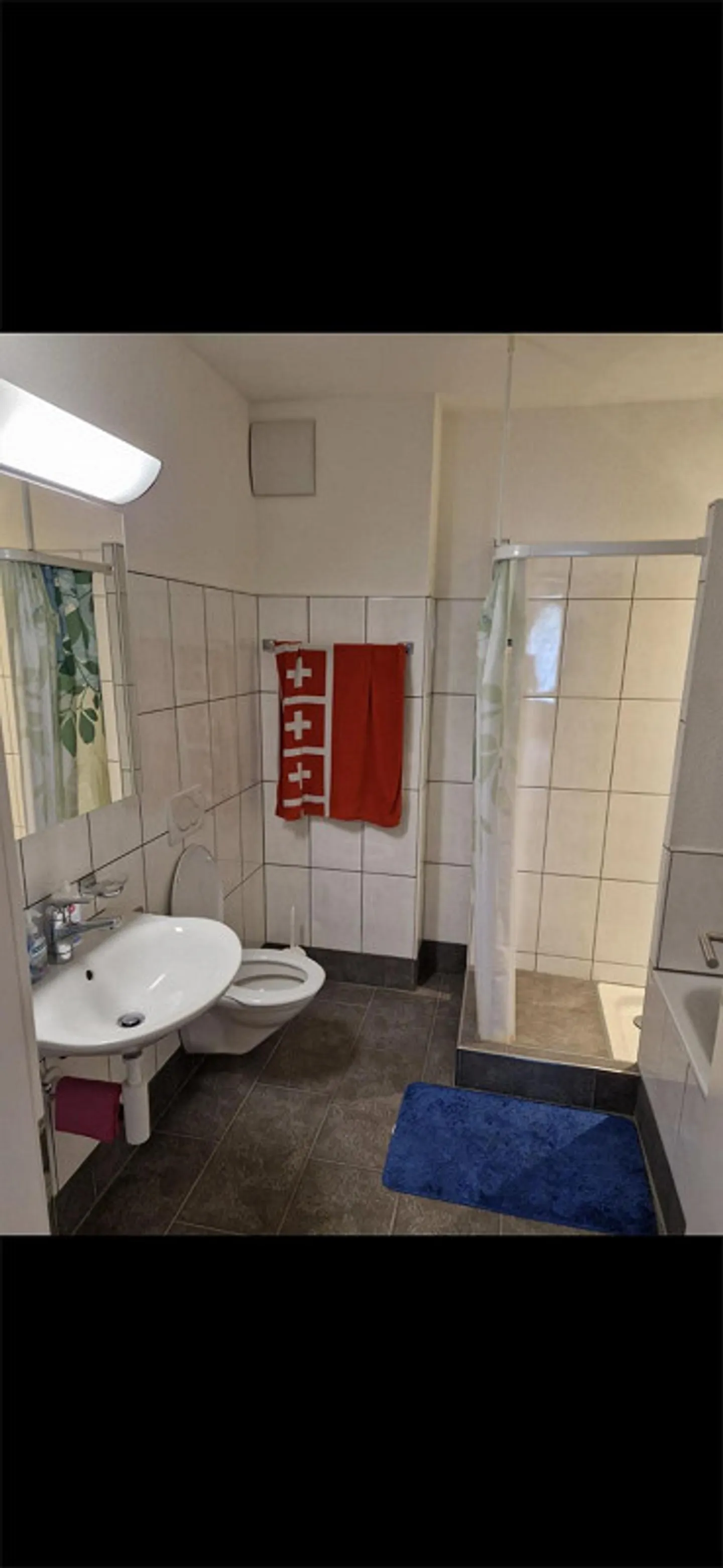 Charmante 3.5 Zimmer Wohnung - Foto 11 von 19