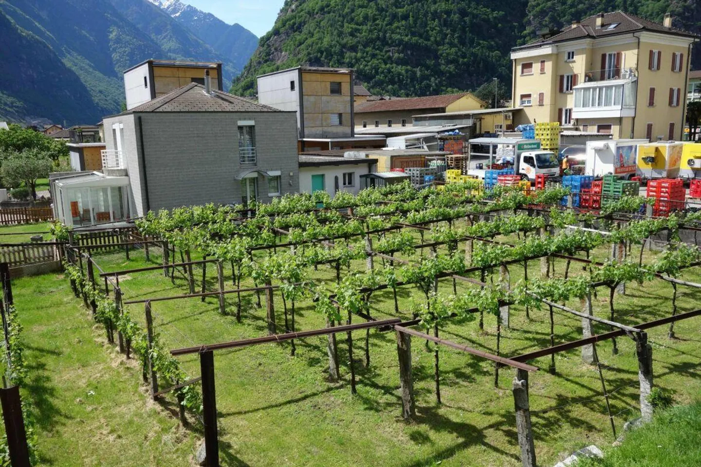 1219 m2 Grundstück mit genehmigter Lizenz - Foto 3 von 4
