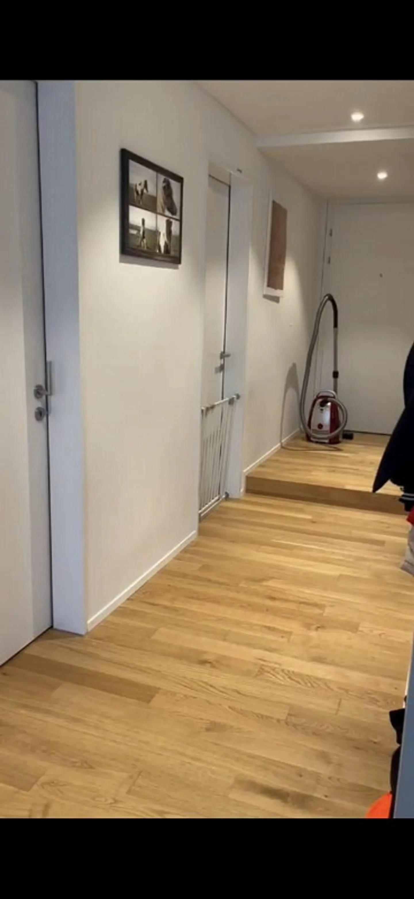 1.5 rooms in 3.5 room apartment (built in 2023) - Photo 3 of 5