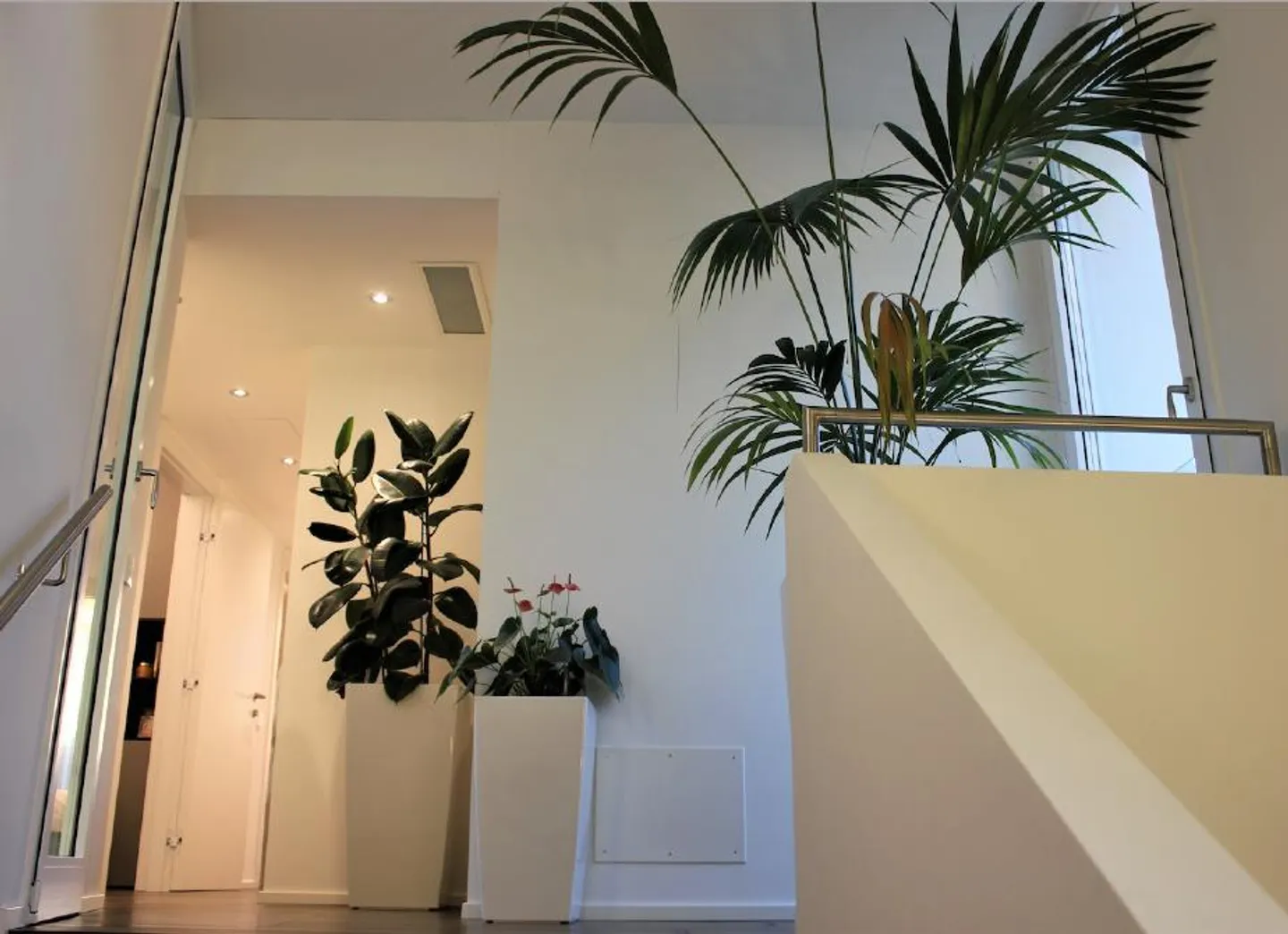 Single-family Villa - Castel San Pietro - Photo 11 of 16