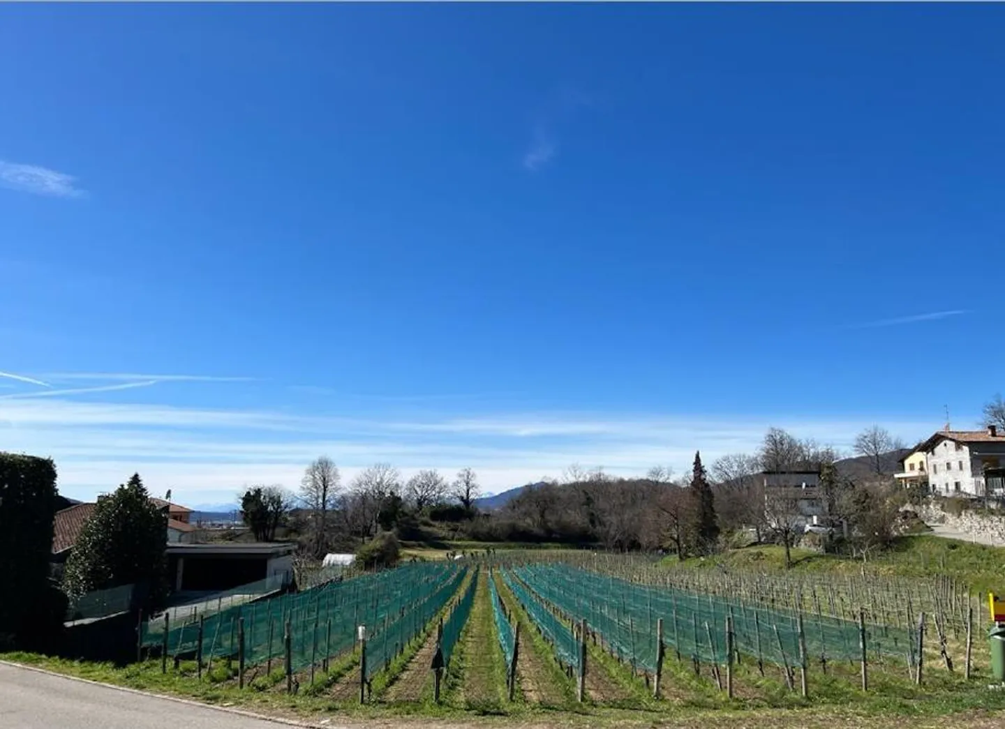 Single-family Villa - Castel San Pietro - Photo 14 of 16