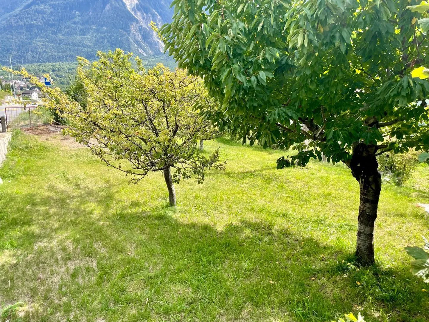 Herrliche, erschlossene Bauparzellen mit Scheune - Foto 4 von 7