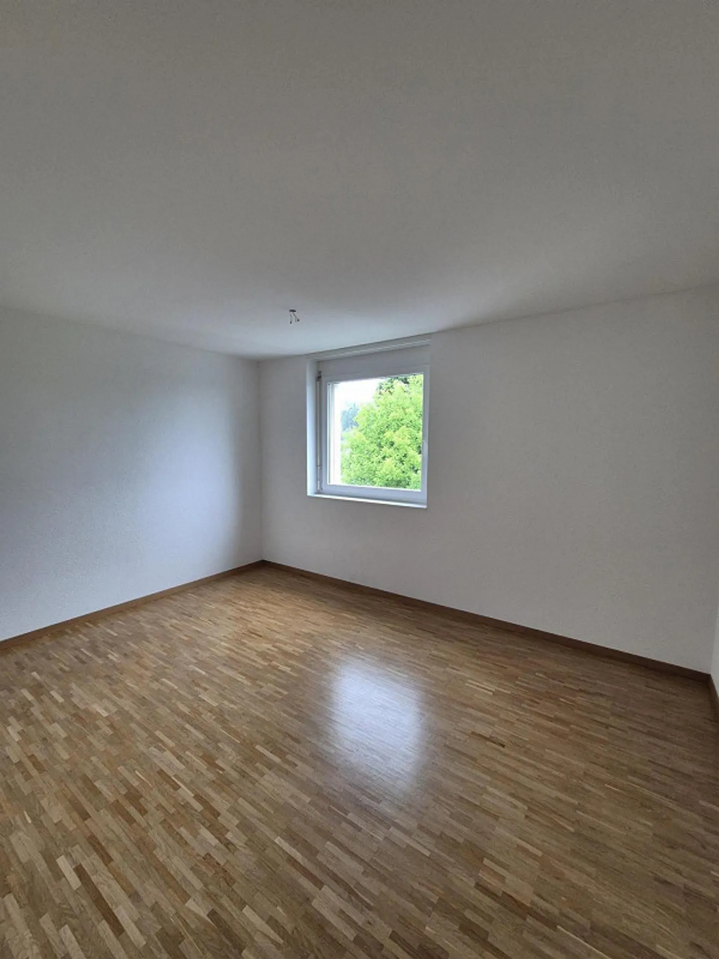 Wohnung am Zapfenbach - Foto 6 von 8