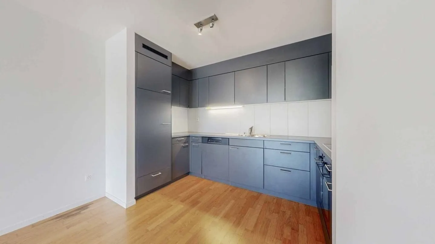 Spacious Apartment Near Lake - Photo 3 of 11