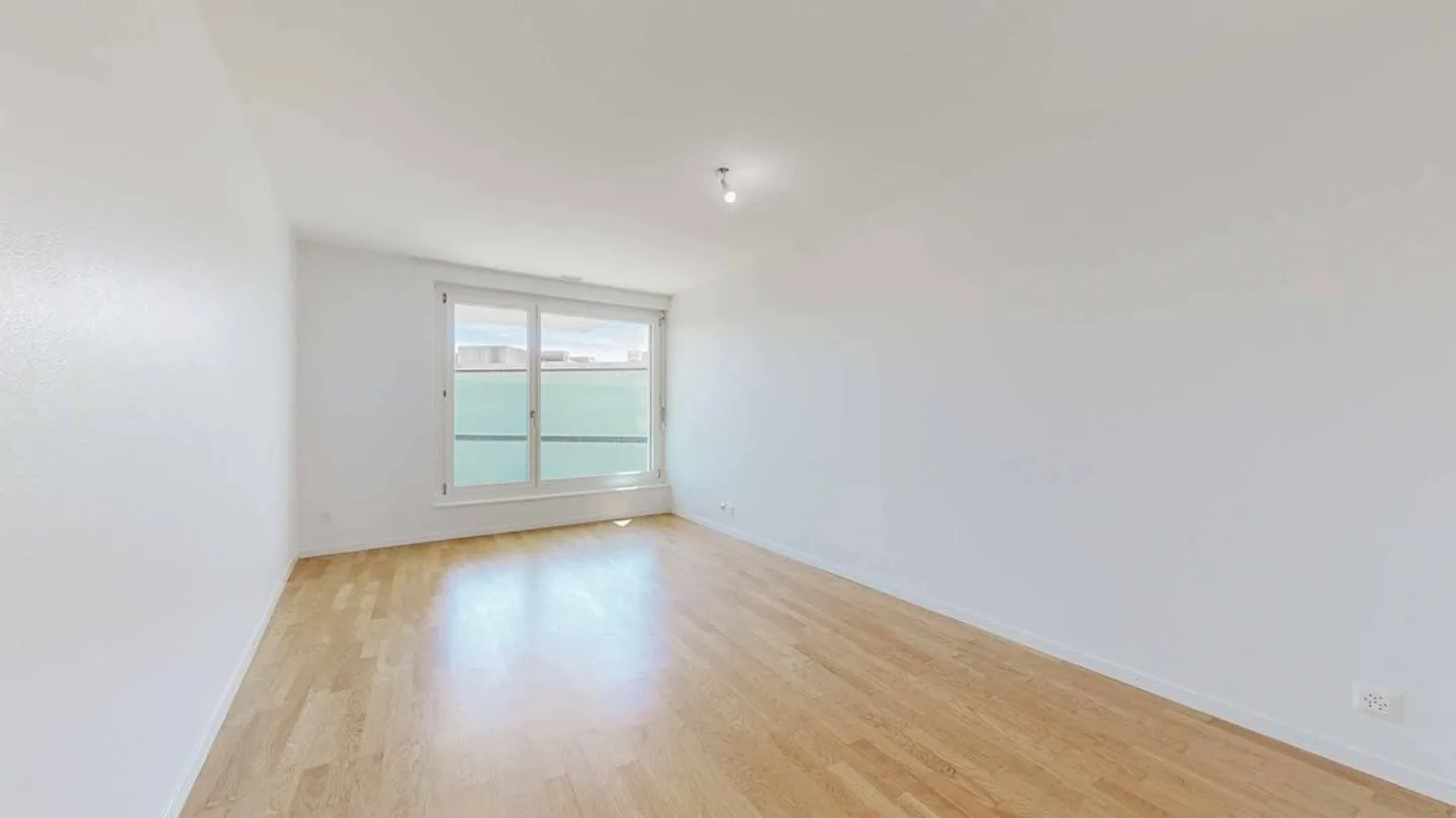 Spacious Apartment Near Lake - Photo 6 of 11