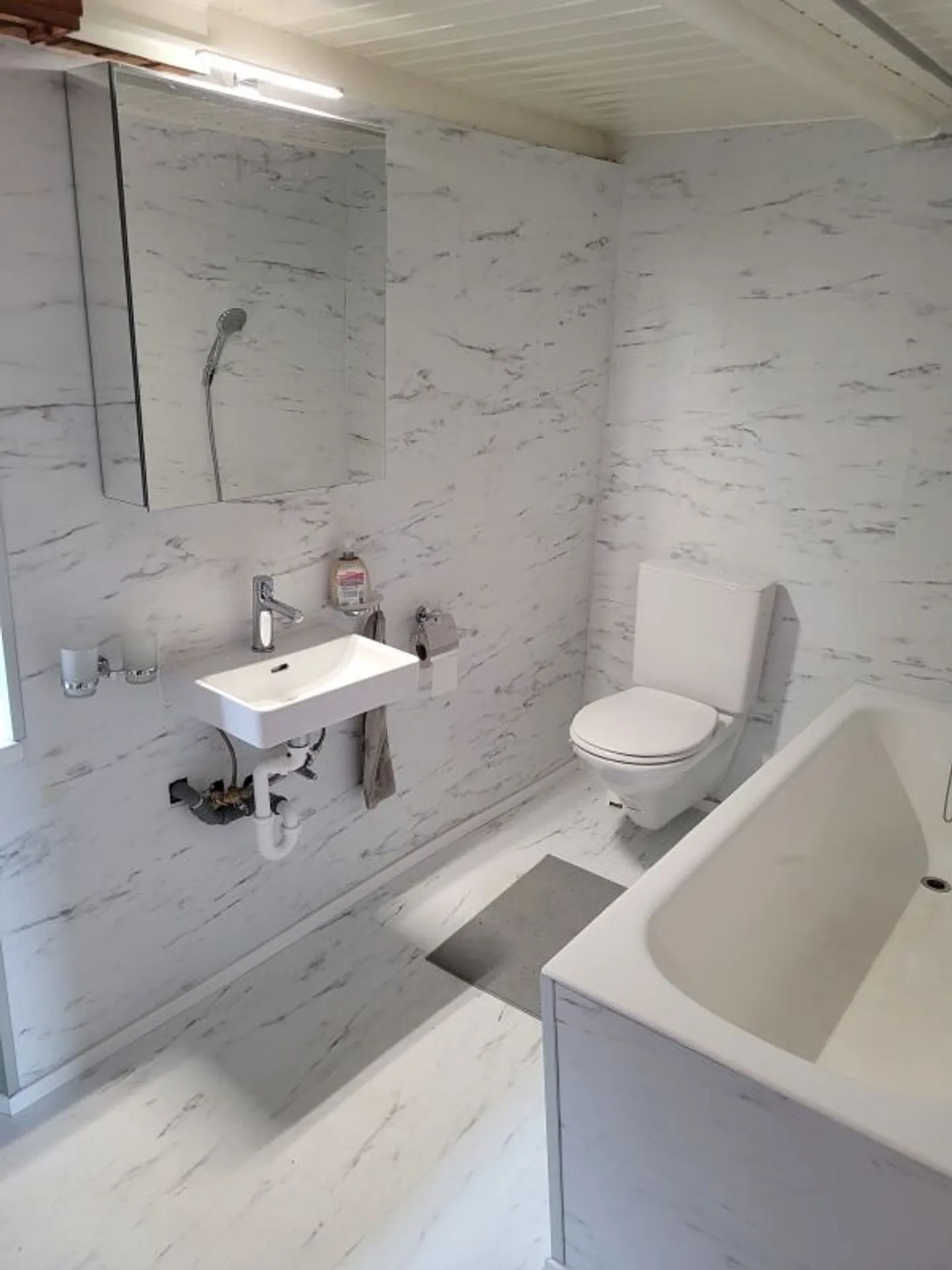 Multi-family property, with garden, beautiful lake view and possibility of secondary residence - Photo 6 of 9