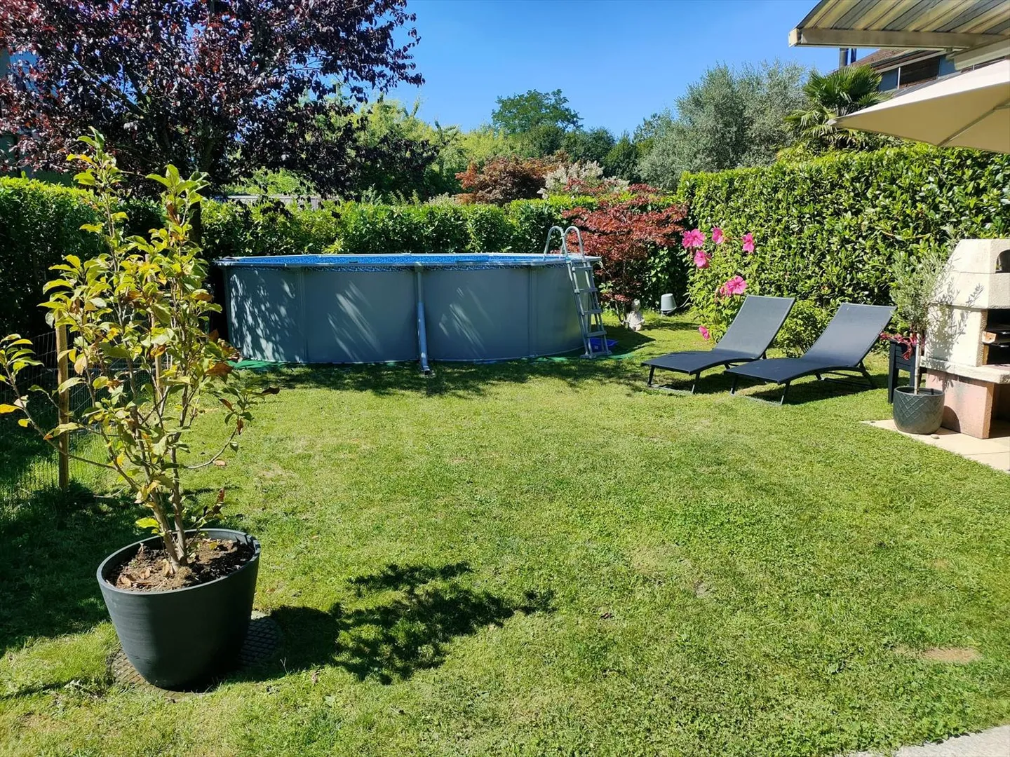 Reihenhaus 5.5 Zimmer - Foto 4 von 8