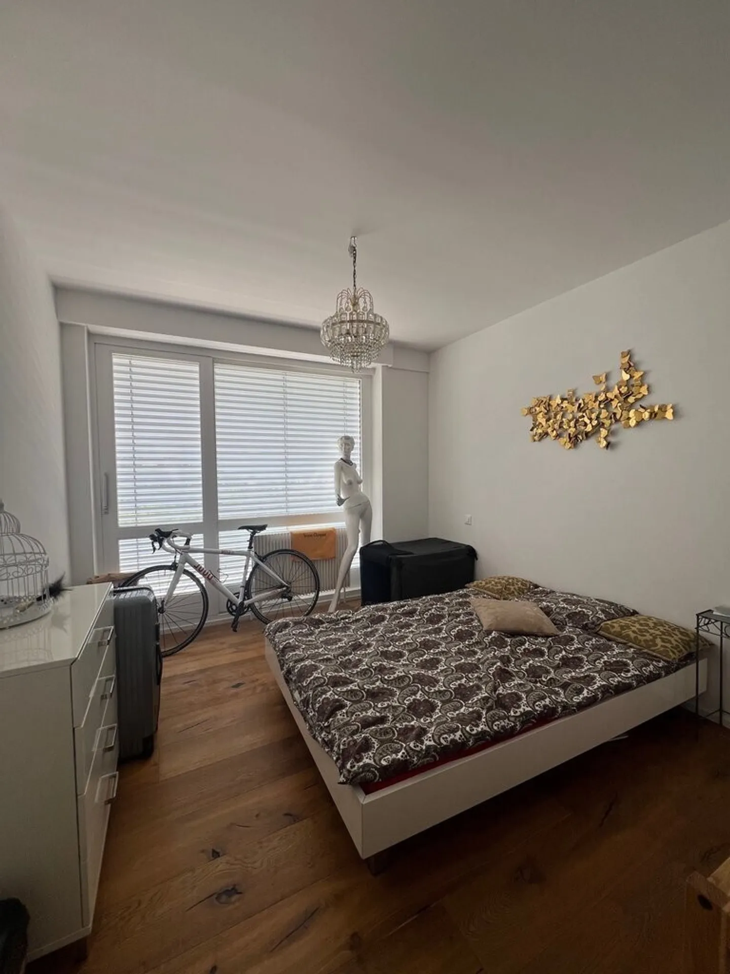 Magnificent apartment with lake view - Photo 5 of 10