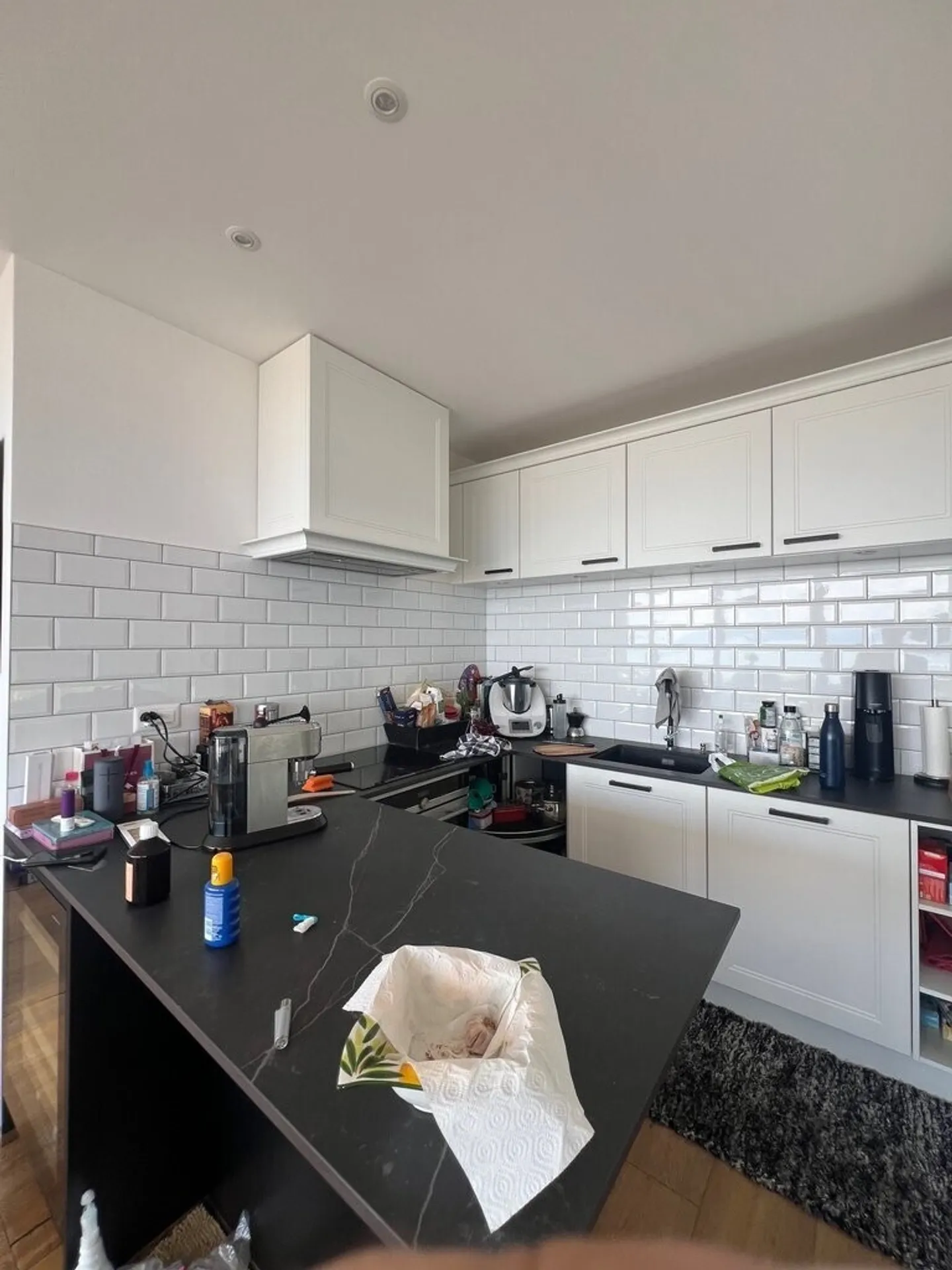 Magnificent apartment with lake view - Photo 9 of 10