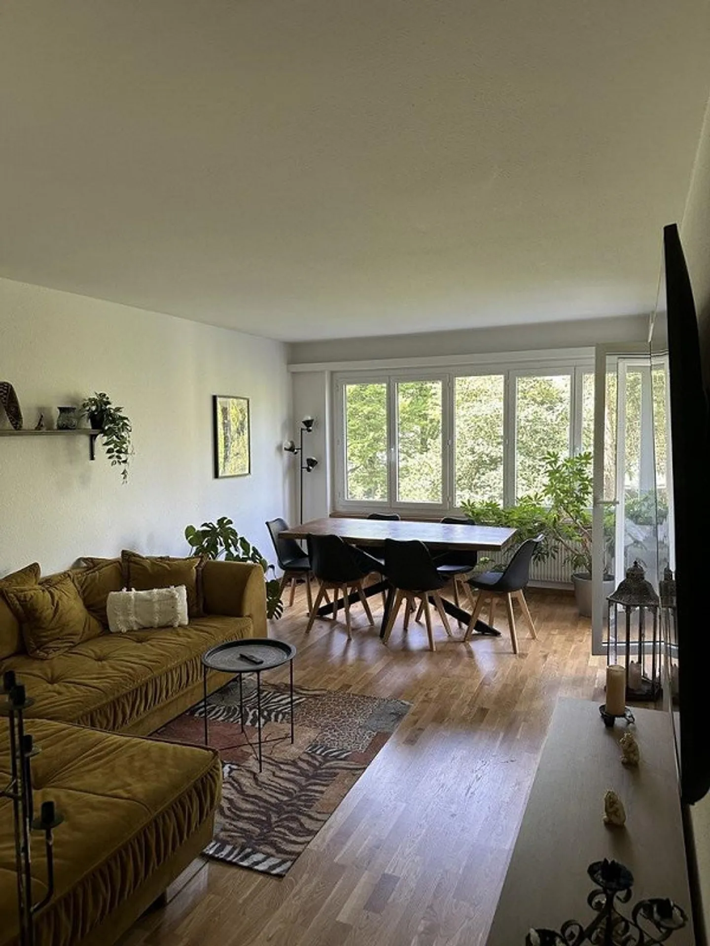 Geräumige 2-Zimmerwohnung in Bern - Foto 2 von 12