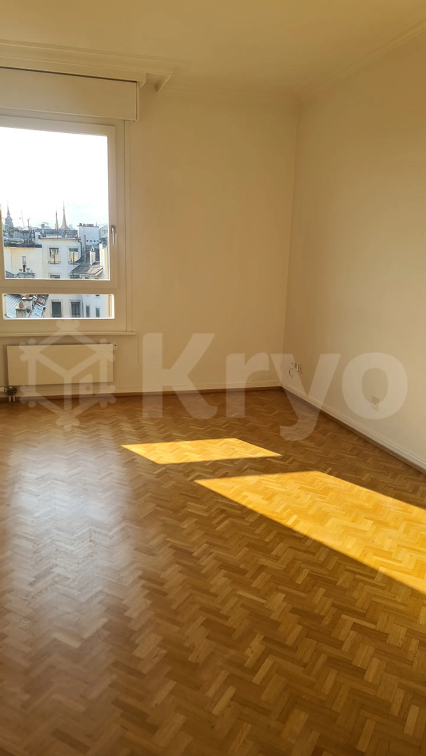 Außergewöhnliche 8-Zimmer-Wohnung mit Blick auf den Jet d'Eau - Foto 9 von 9