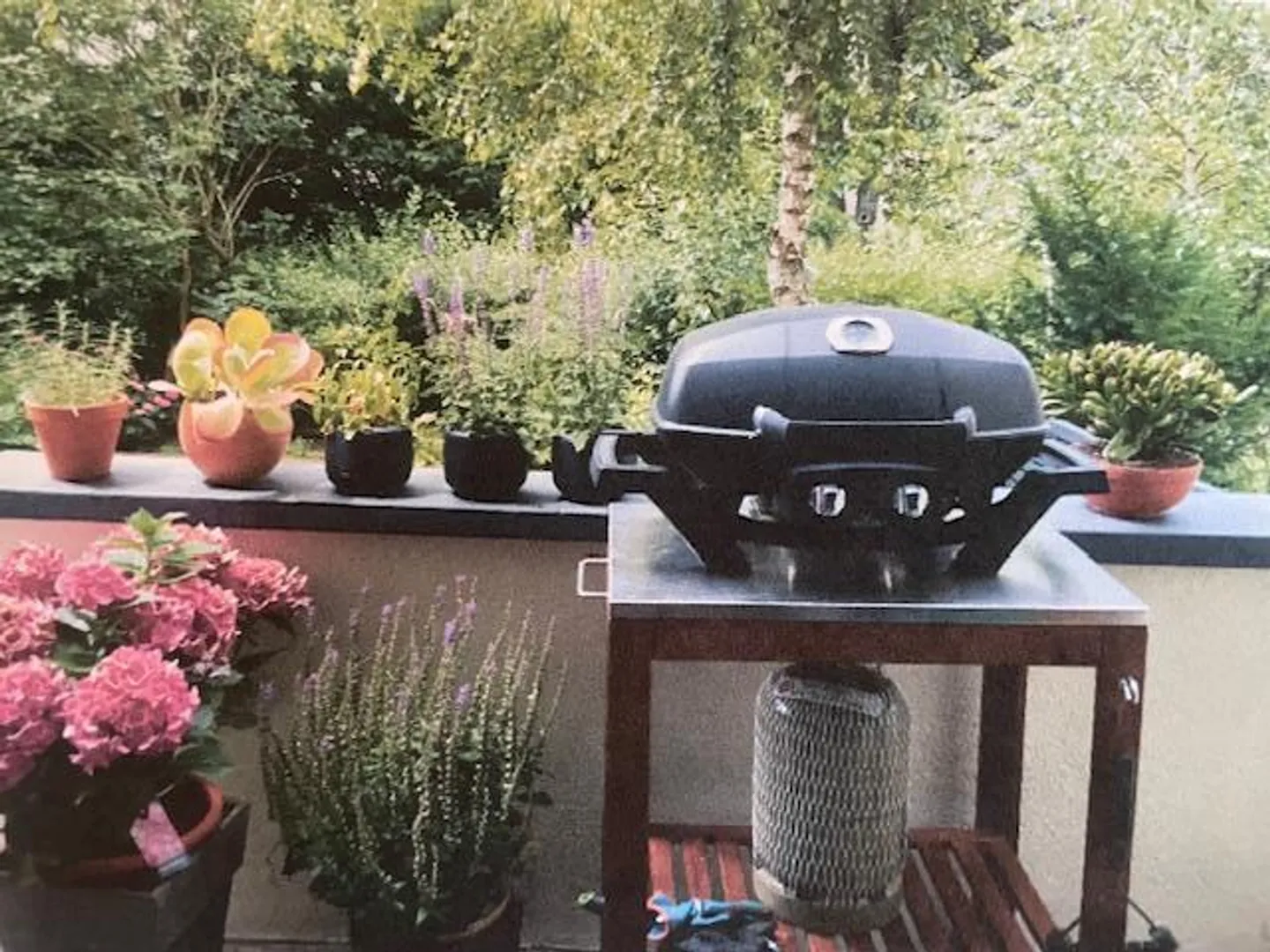 Row house next to Roche - Photo 4 of 10