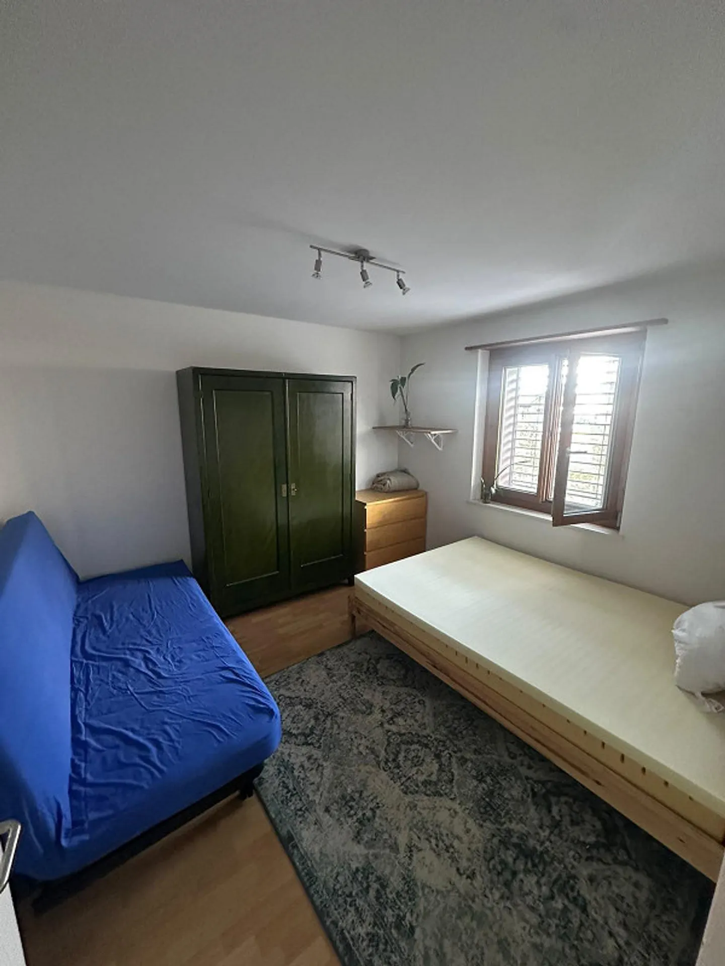 Furnished Room in Shared Flat - Photo 1 of 6