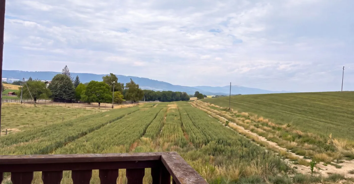 Casa in vendita a Grancy - 8,5 locali, 360 m2, al confine con la zona agricola. - Foto 9 di 12