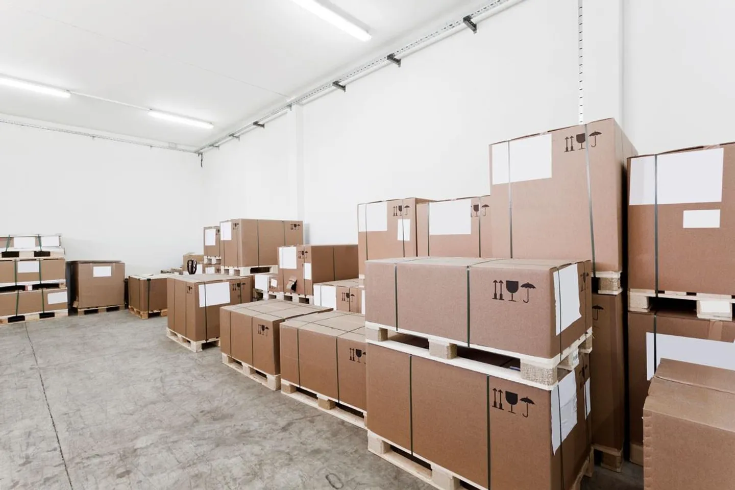 Spazi di magazzino versatili ad Aeschenplatz 6 a Basilea! - Foto 1 di 7