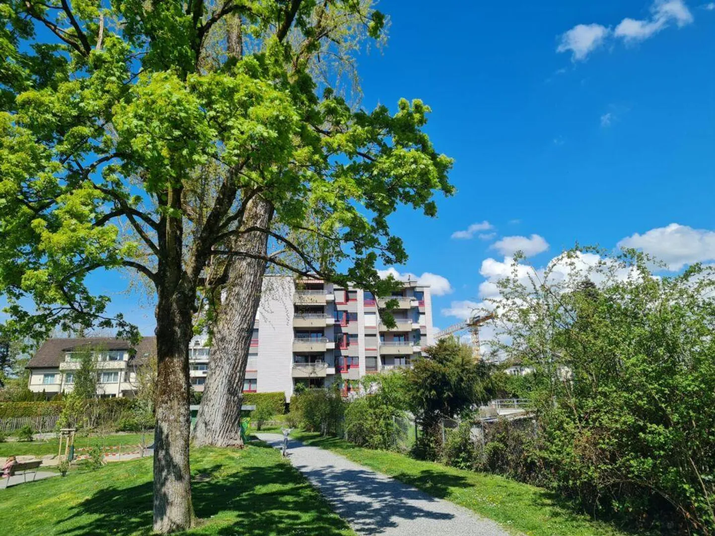 Appartamento familiare di 5,5 stanze con vista panoramica in posizione centrale - Foto 1 di 9