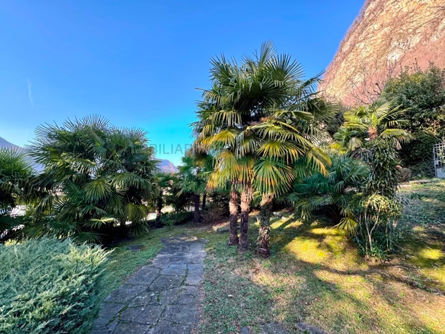 Accogliente villa tutta su un piano con grande bel giardino e piscina - Foto 3 di 13