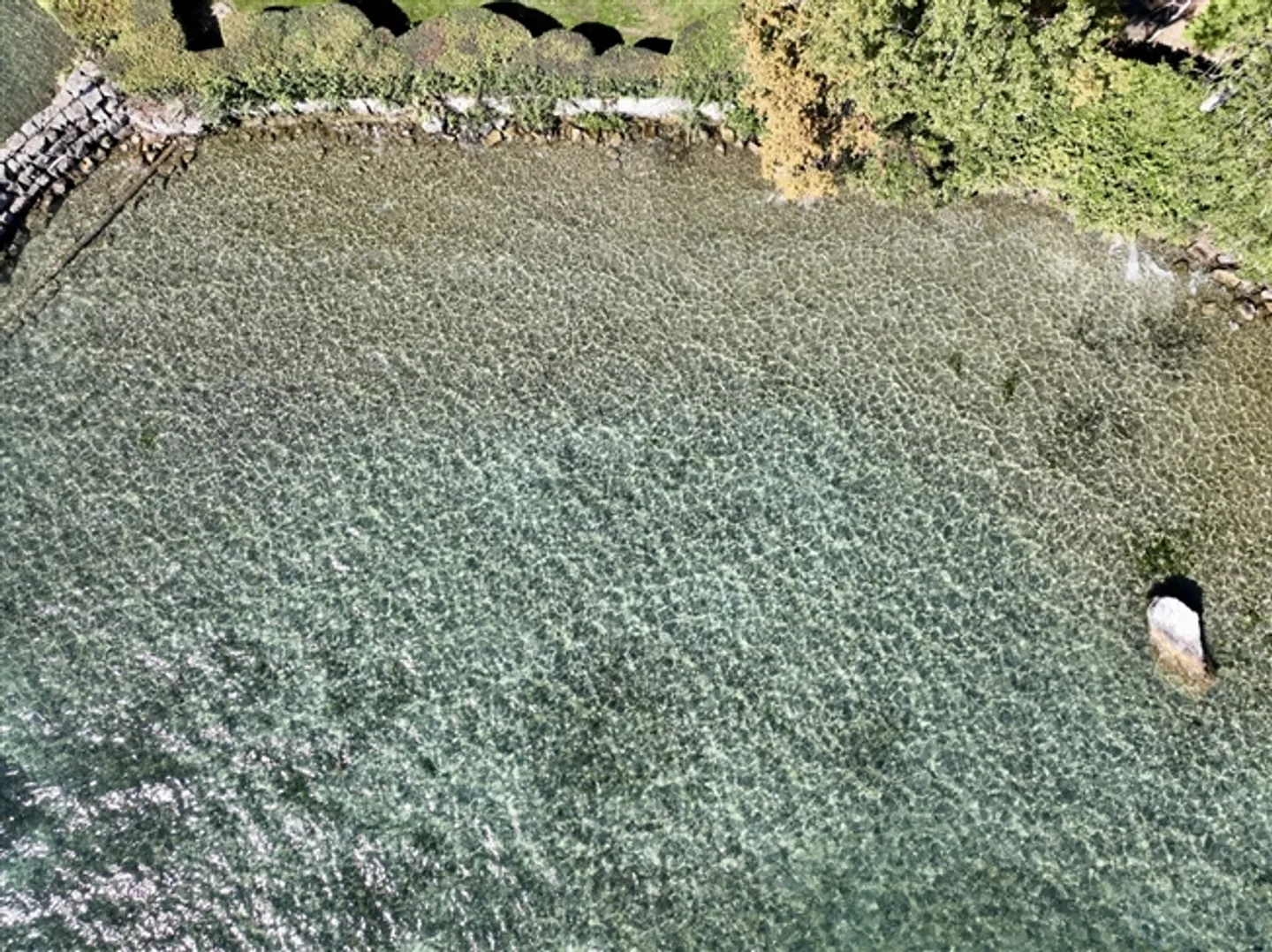 Magnifico terreno fronte lago con progetto di costruzione - Foto 8 di 19