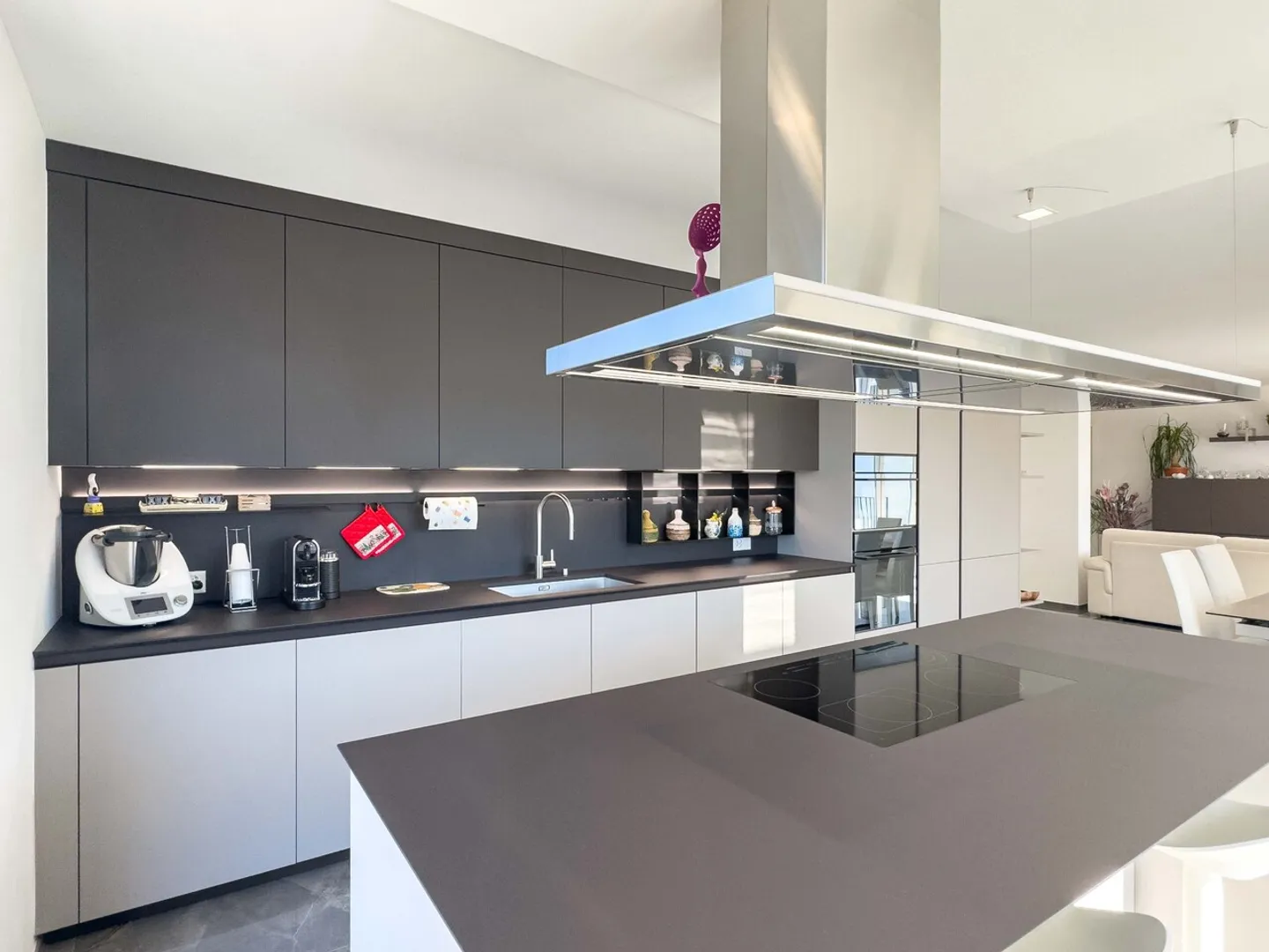 Spacious Penthouse in Mendrisio - Photo 4 of 9