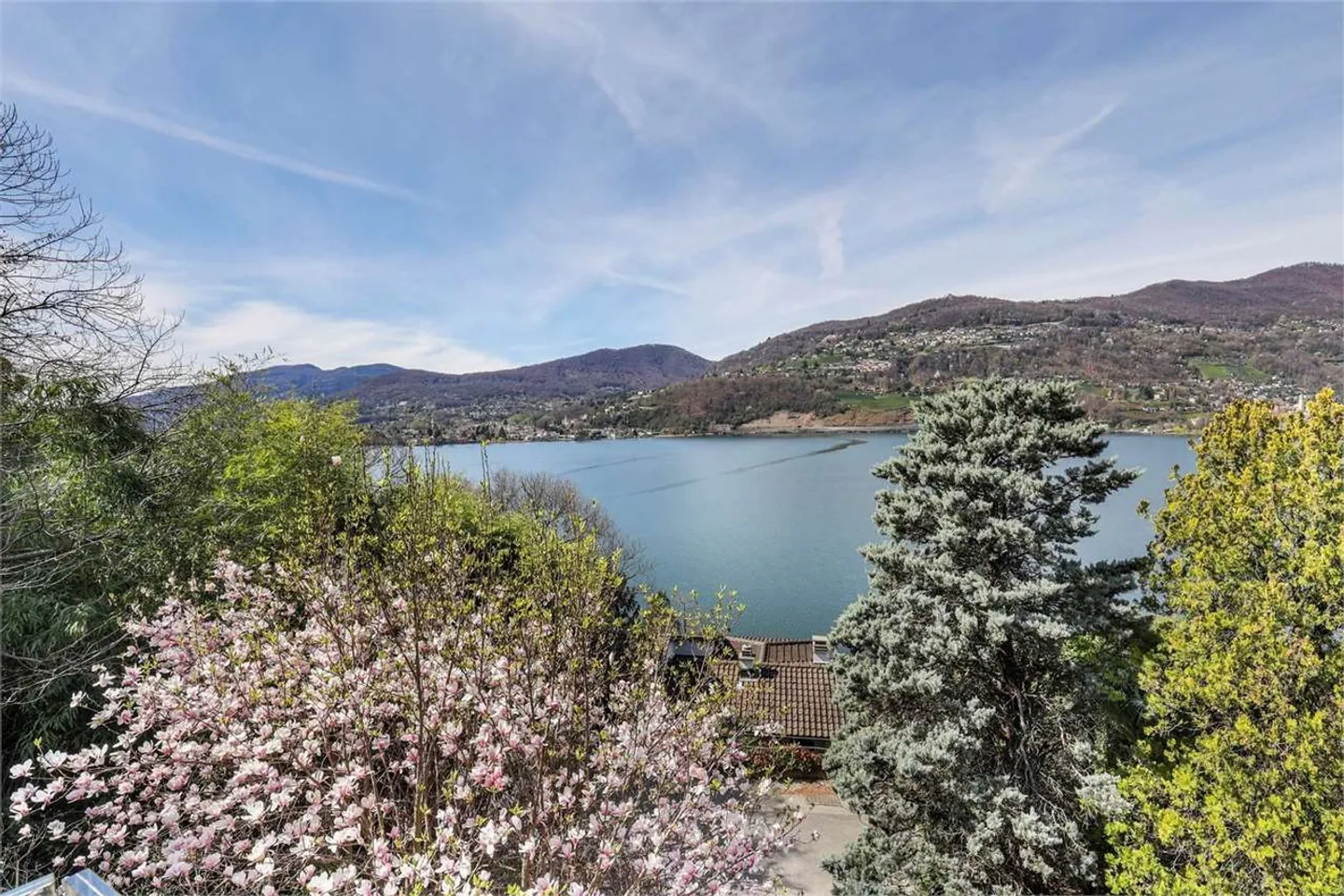 Villa con giardino e vista lago a Montagnola - Foto 16 di 16